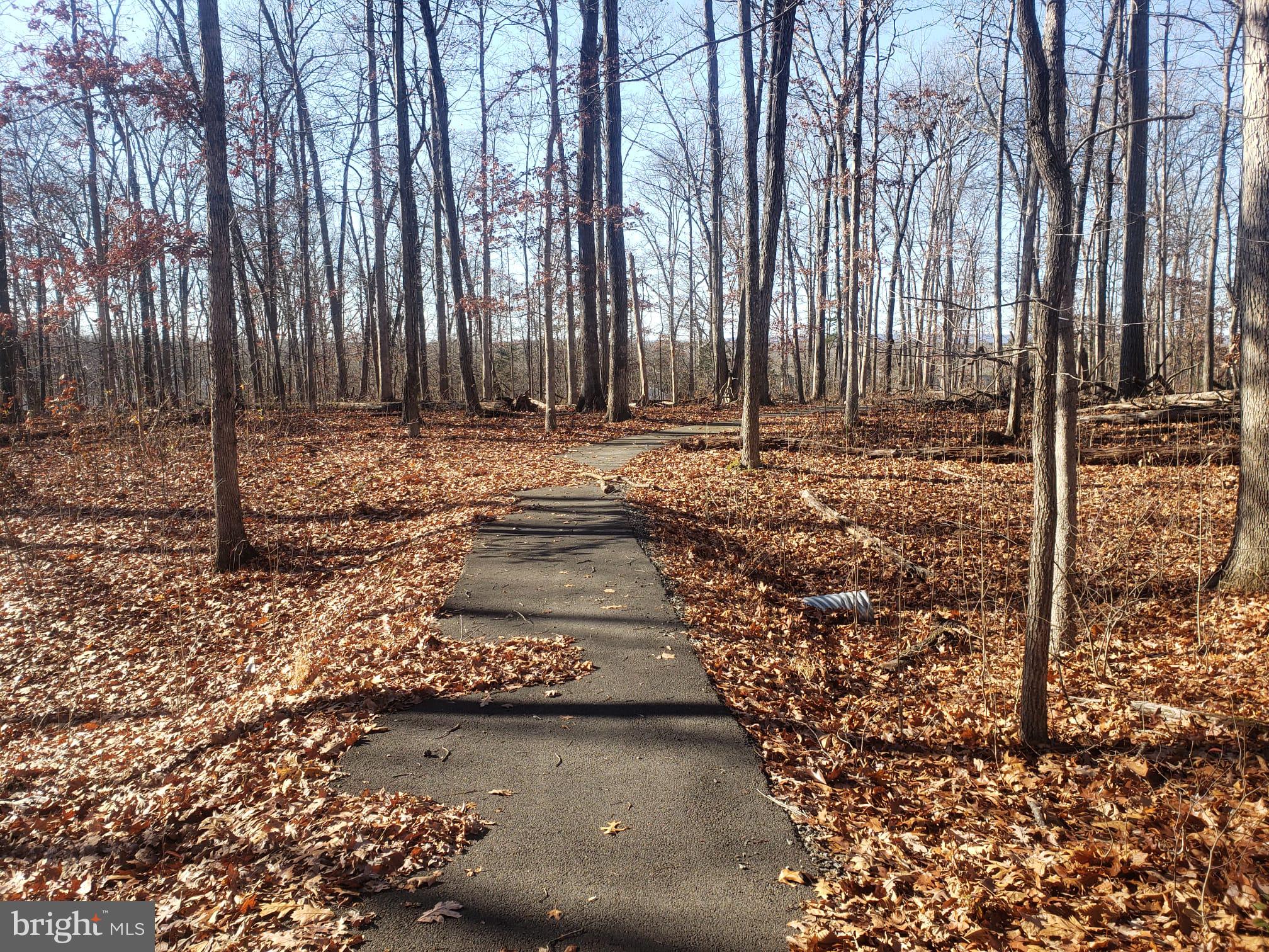 26915 Gum Spring Road Chantilly, VA 20152 - Photo 2 of 39 Walking trail around property