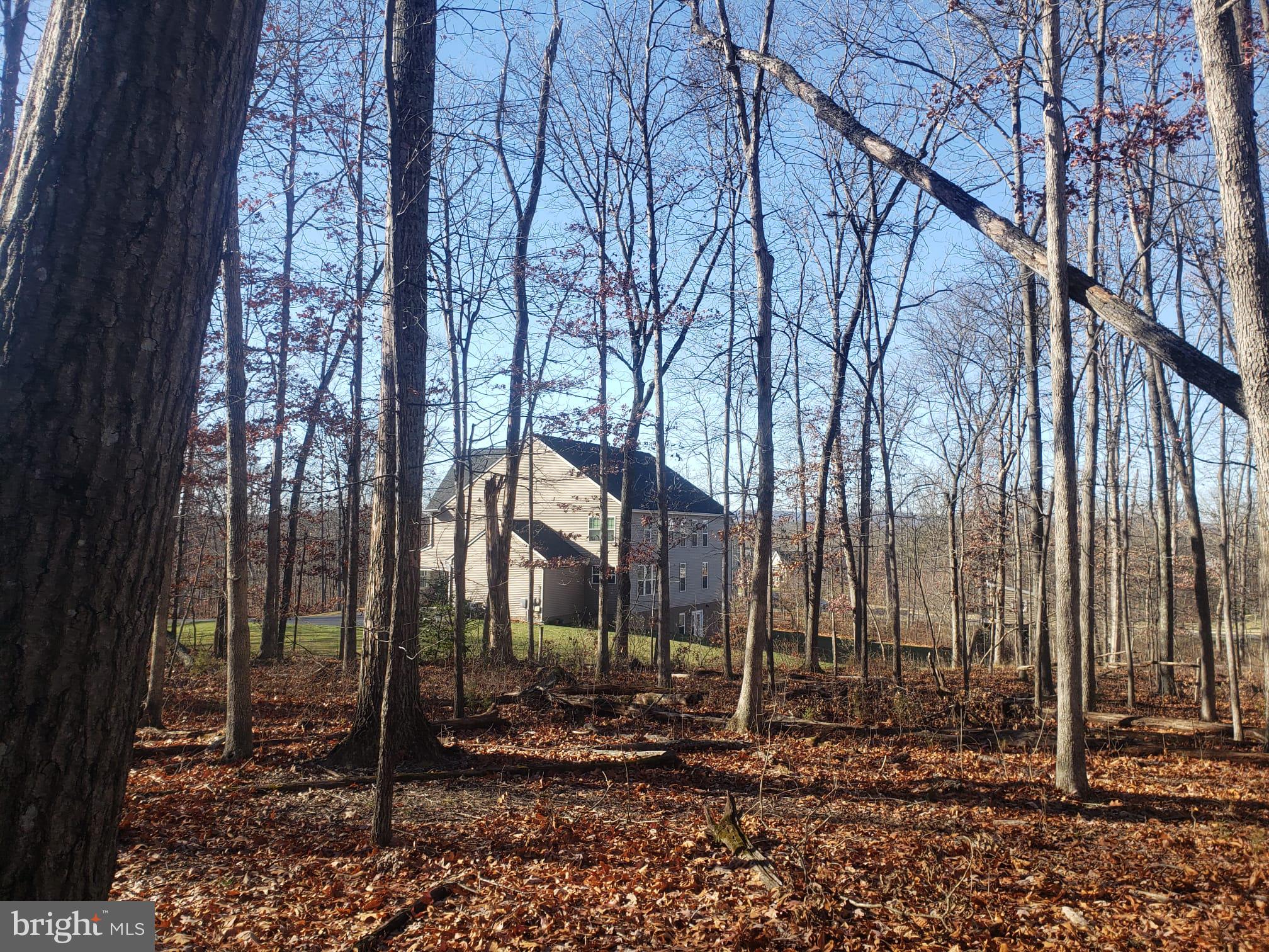 26915 Gum Spring Road Chantilly, VA 20152 - Photo 21 of 39 neighborhood in distance