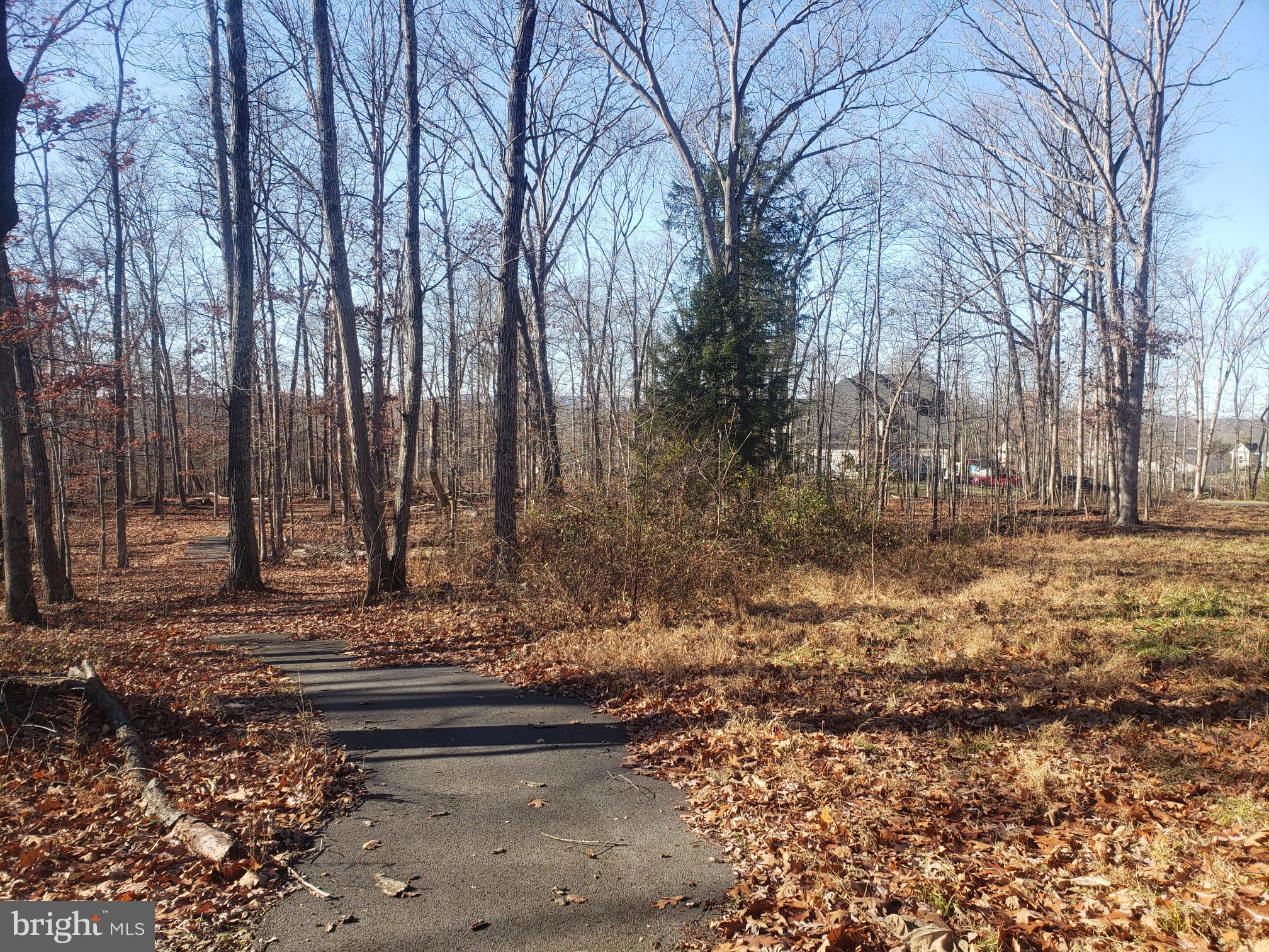 26915 Gum Spring Road Chantilly, VA 20152 - Photo 4 of 39 walking trail