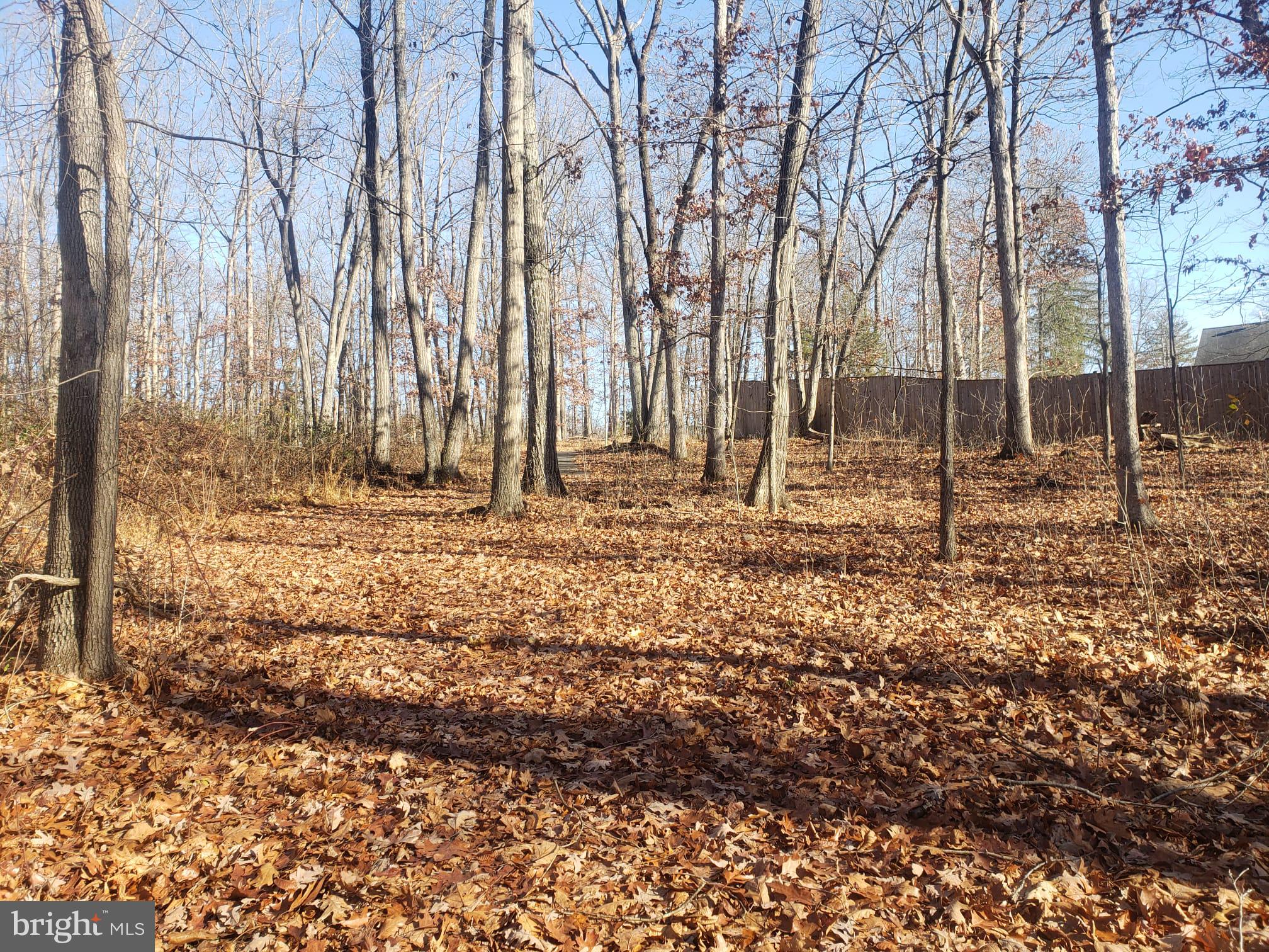 26915 Gum Spring Road Chantilly, VA 20152 - Photo 6 of 39 flat land