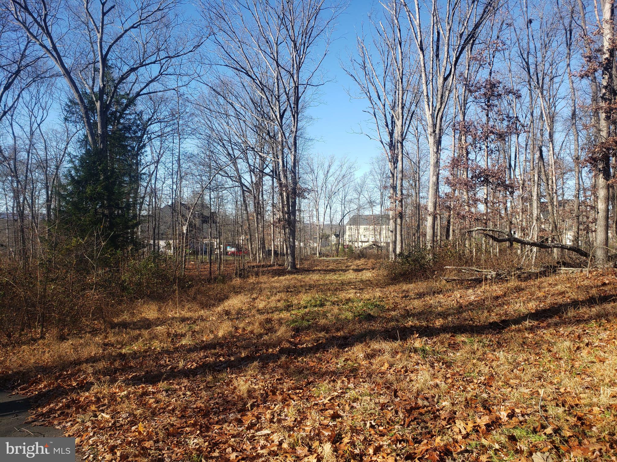 26915 Gum Spring Road Chantilly, VA 20152 - Photo 8 of 39 flat land