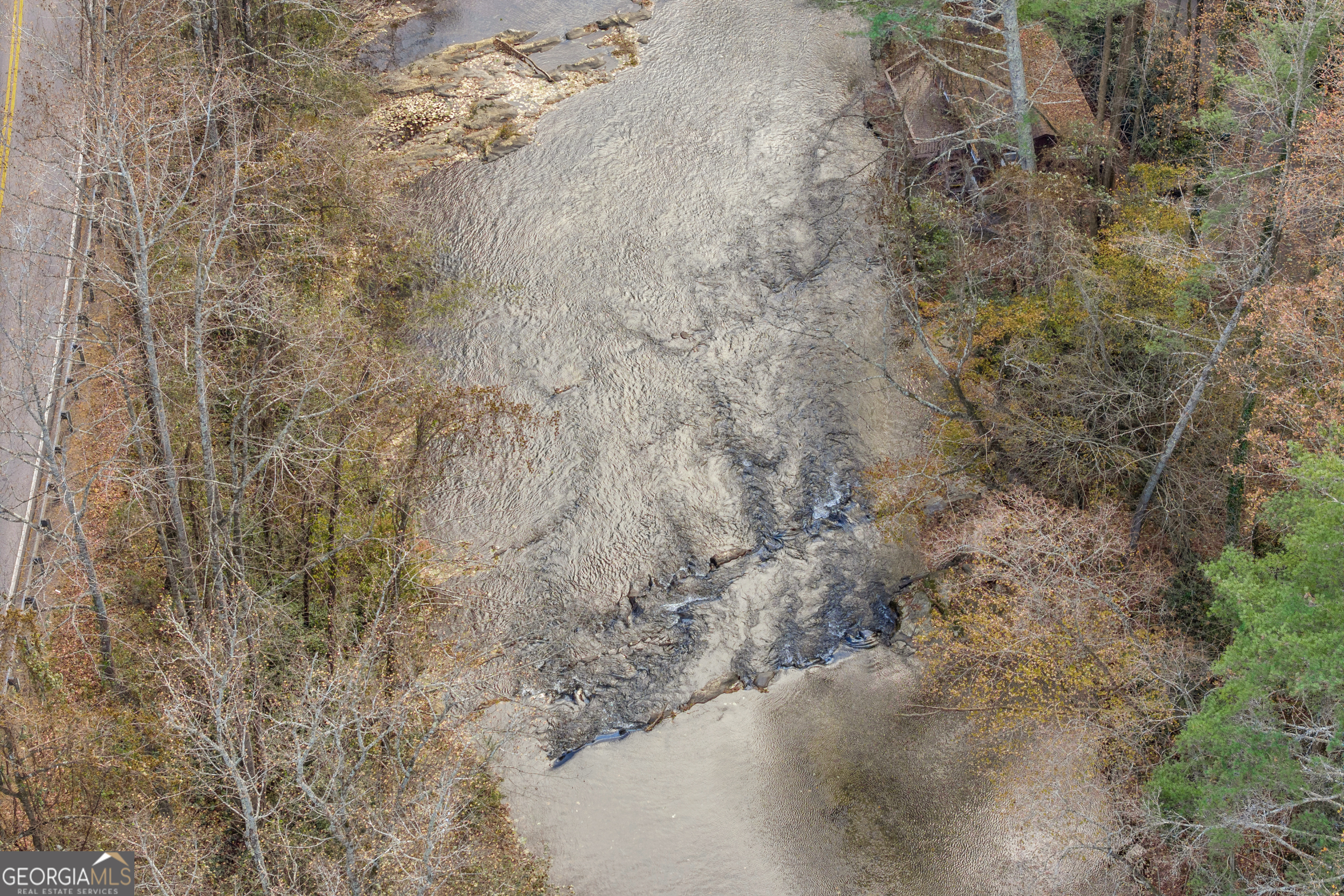 243 Ridge Road Helen, GA 30545 - Photo 77 of 82 a view of a dry yard with trees in the background