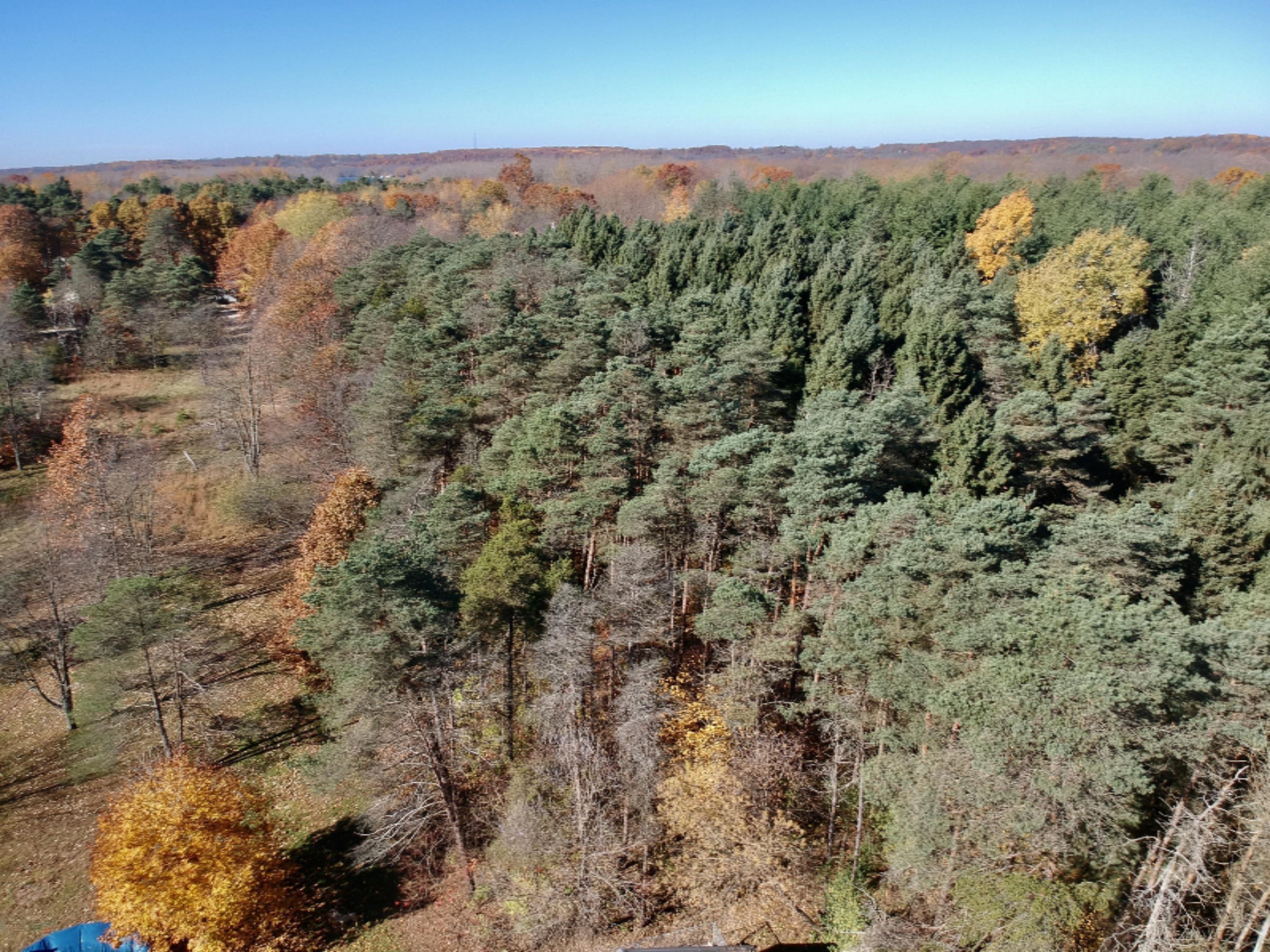 1980 Barger Road Nashville, MI 49073 - Photo 59 of 121 DJI_0048