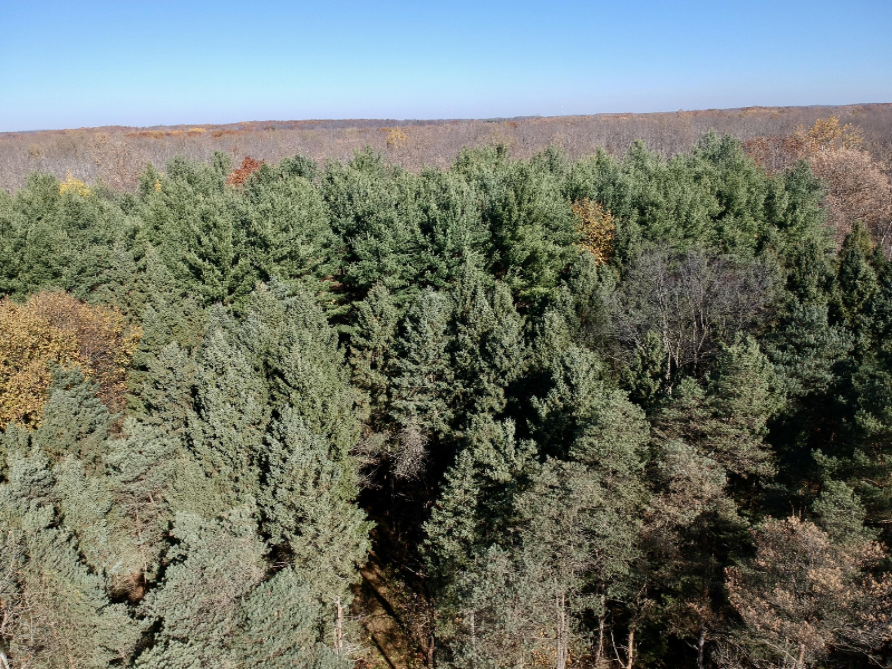 1980 Barger Road Nashville, MI 49073 - Photo 60 of 121 DJI_0049