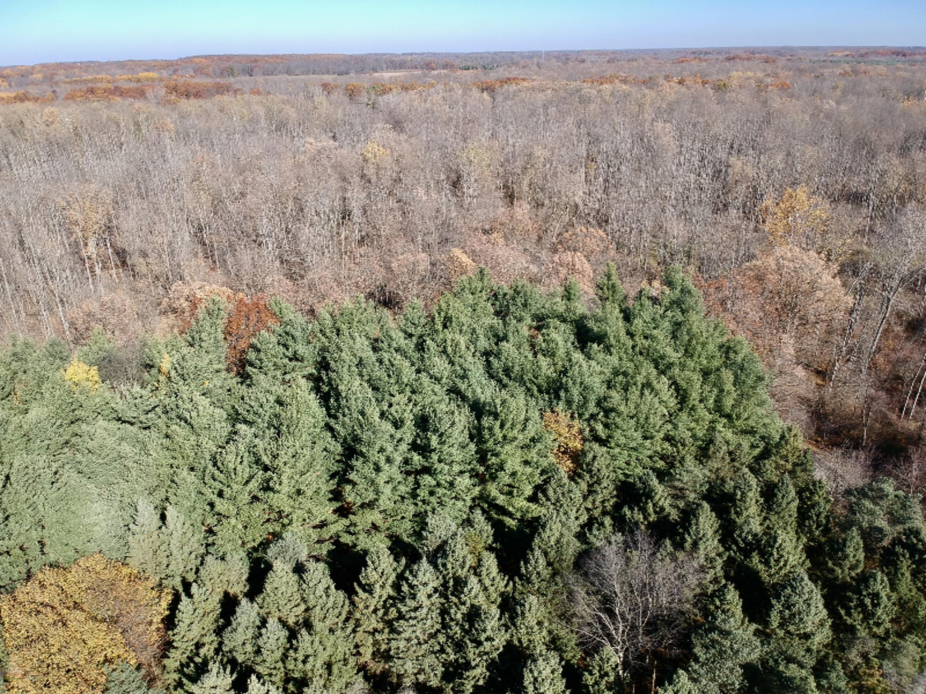 1980 Barger Road Nashville, MI 49073 - Photo 61 of 121 DJI_0050