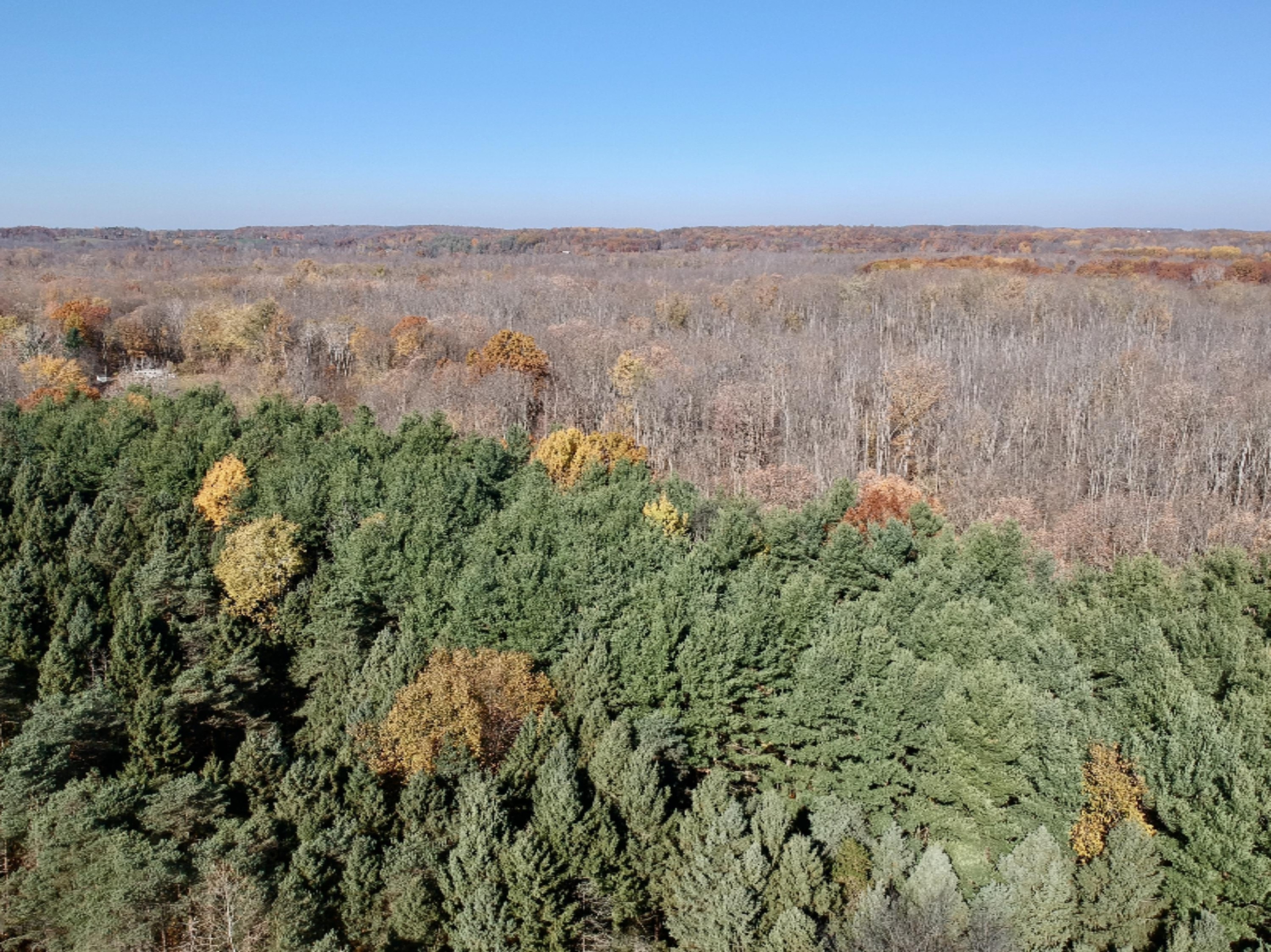 1980 Barger Road Nashville, MI 49073 - Photo 64 of 121 DJI_0053