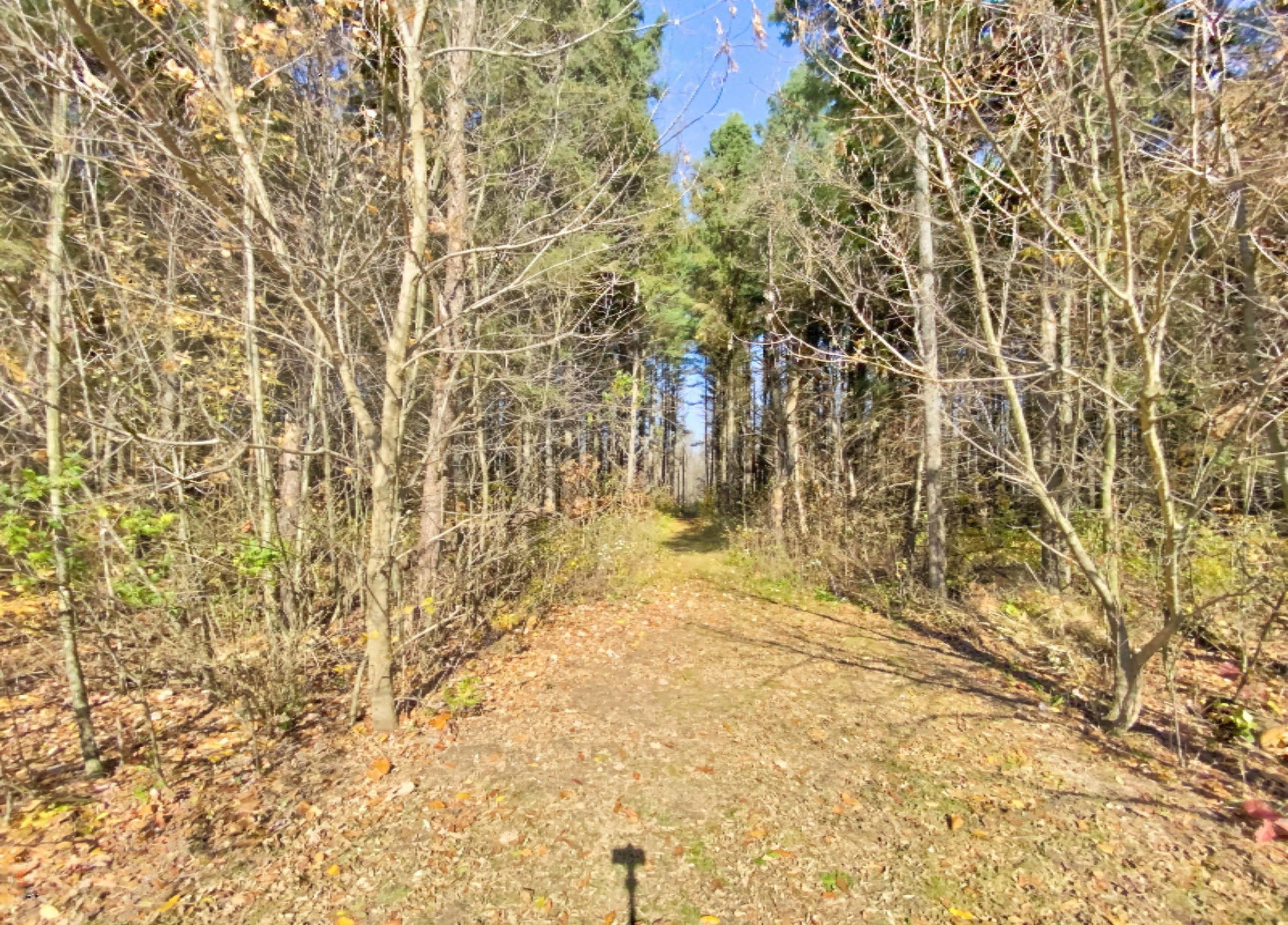 1980 Barger Road Nashville, MI 49073 - Photo 71 of 121 IMG_20201028_125050_488_0_633_0_778_0_94
