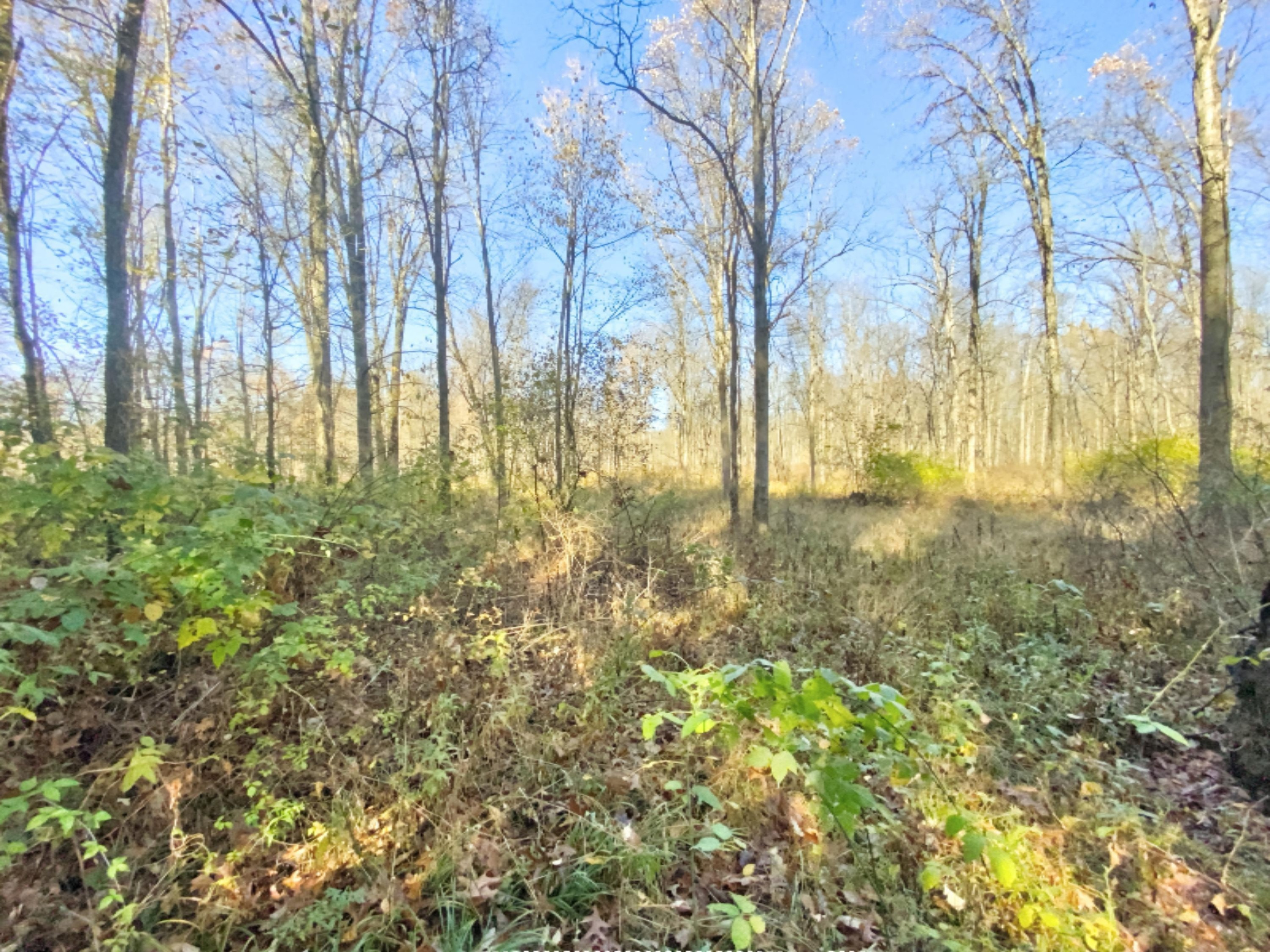 1980 Barger Road Nashville, MI 49073 - Photo 91 of 121 IMG_20201028_125203_874_3_996_4_129_4_28