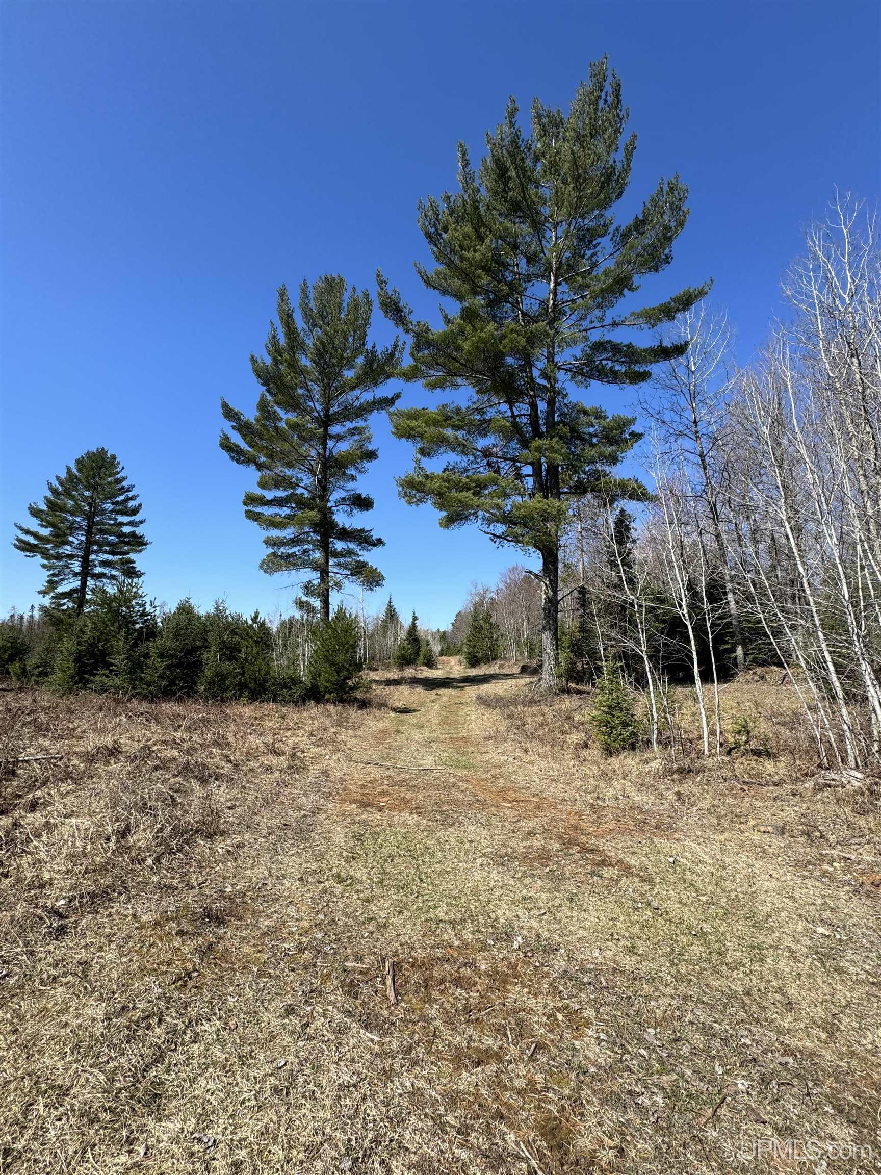 577 Rd Vulcan Mi 49892 Road Vulcan, MI 49892 - Photo 13 of 17