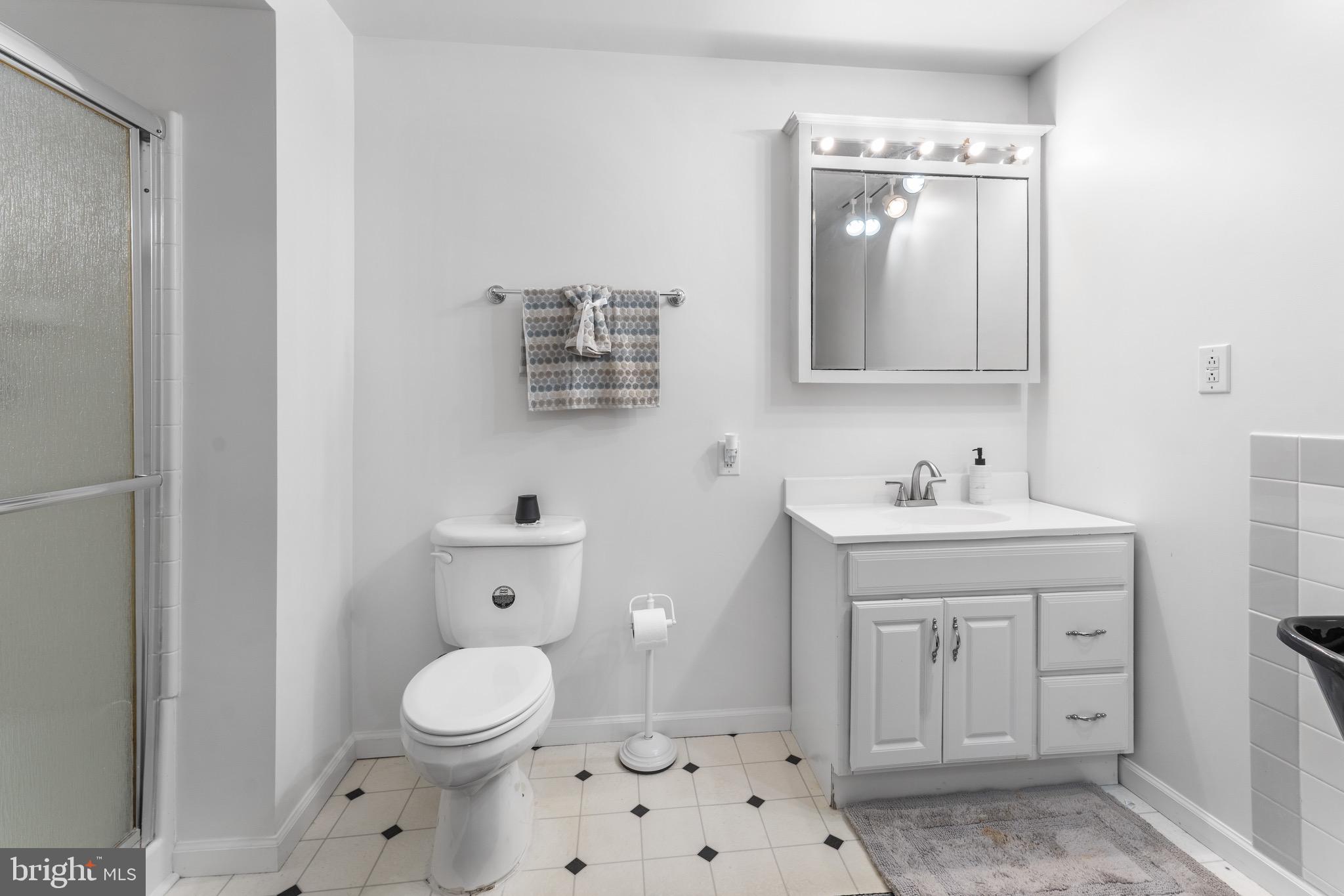 10106 Goldfinch Court Clinton, MD 20735 - Photo 35 of 40 Basement full Bathroom