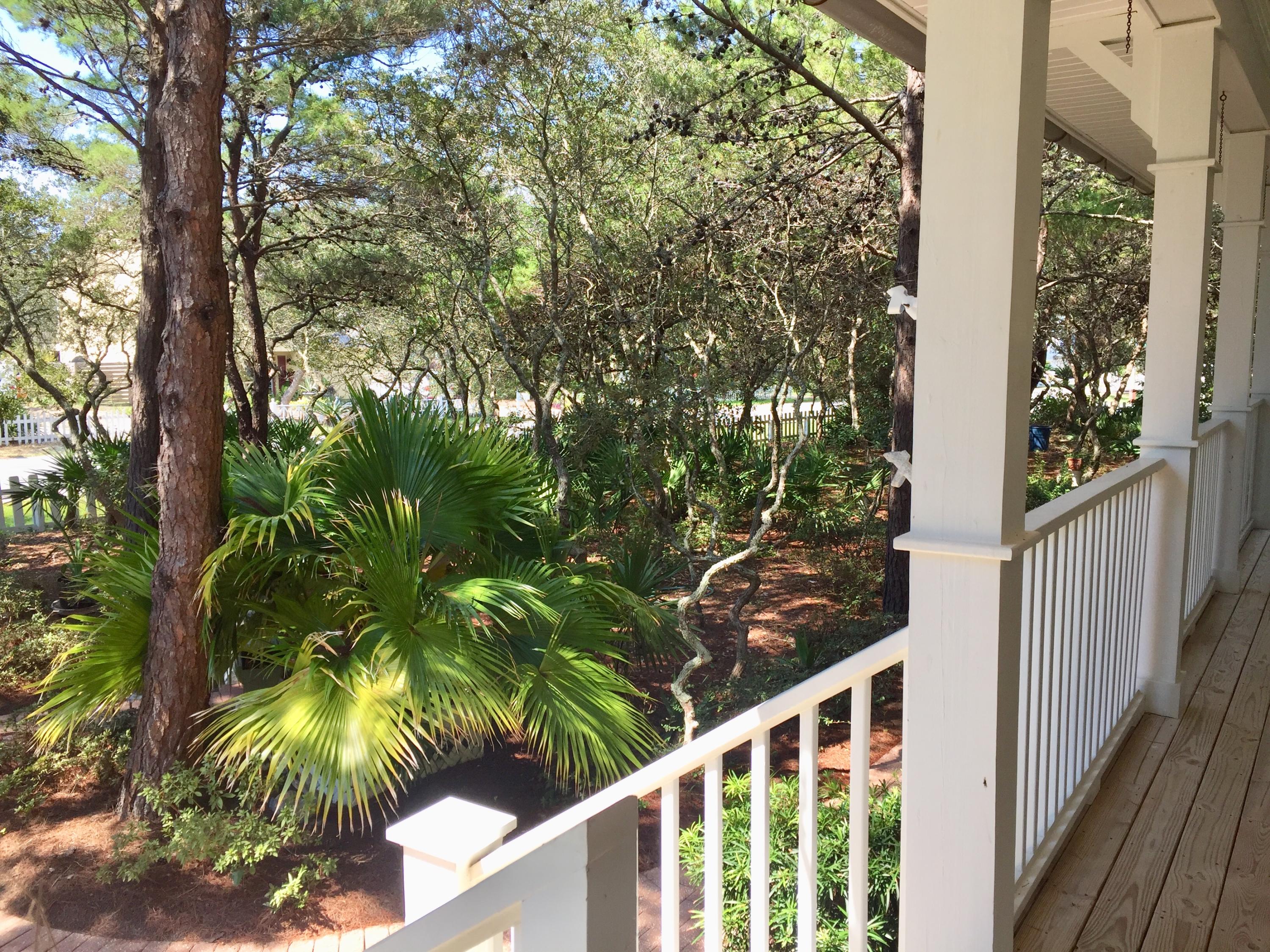 49 Seabreeze Circle Inlet Beach, FL 32461 - Photo 4 of 40 F - Yard 2