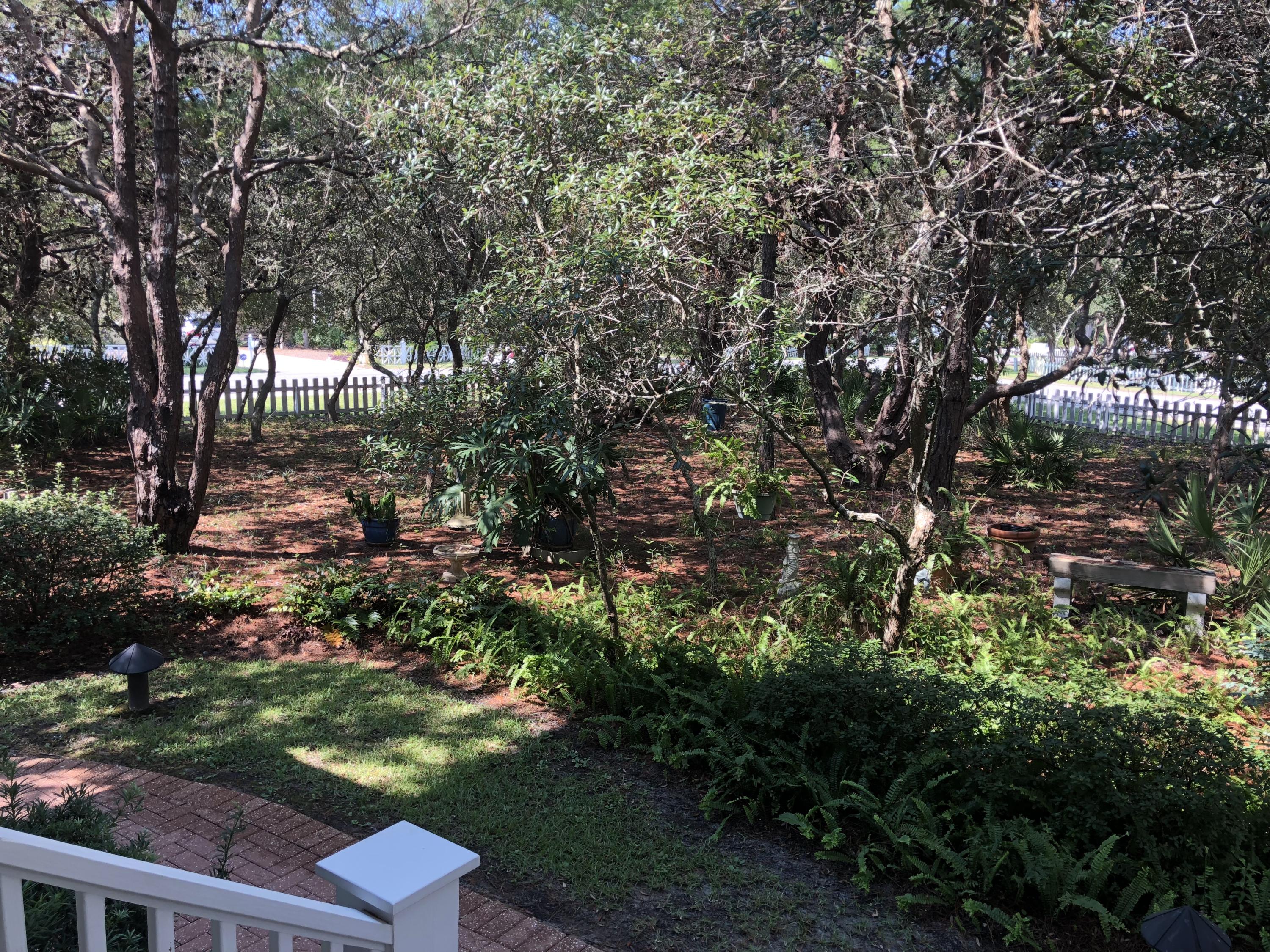 49 Seabreeze Circle Inlet Beach, FL 32461 - Photo 7 of 40 D - Yard 10