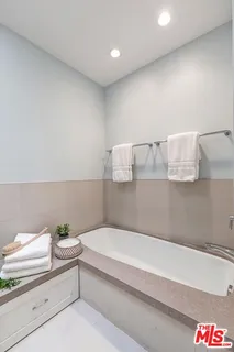 a bathroom with a bathtub and a potted plant