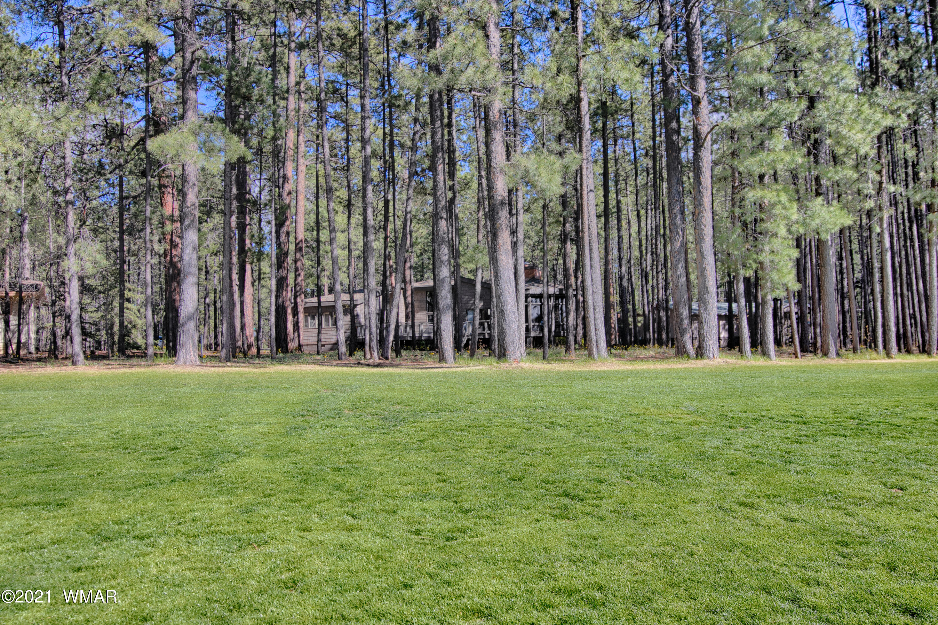 7752 Geronimo Road Pinetop, AZ 85935 - Photo 20 of 37 Gallery Image 20