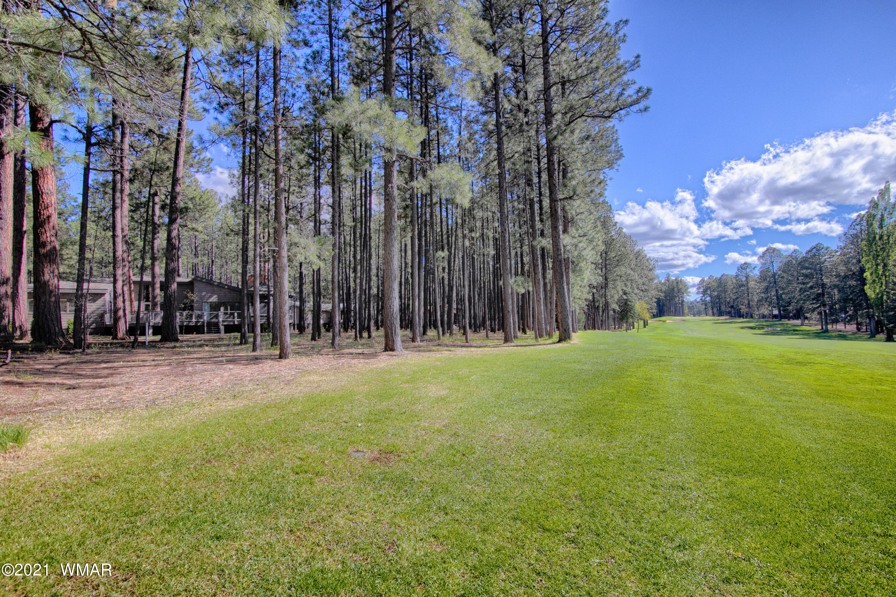 7752 Geronimo Road Pinetop, AZ 85935 - Photo 23 of 37 Gallery Image 23