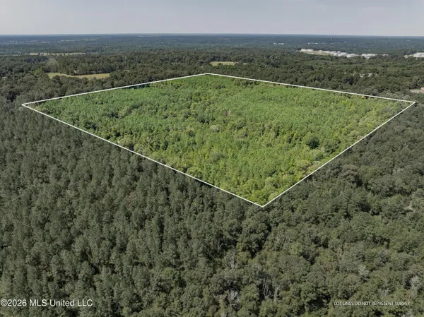 $120,000 | 588 Collins Ms 39428, Collins, MS 39428
