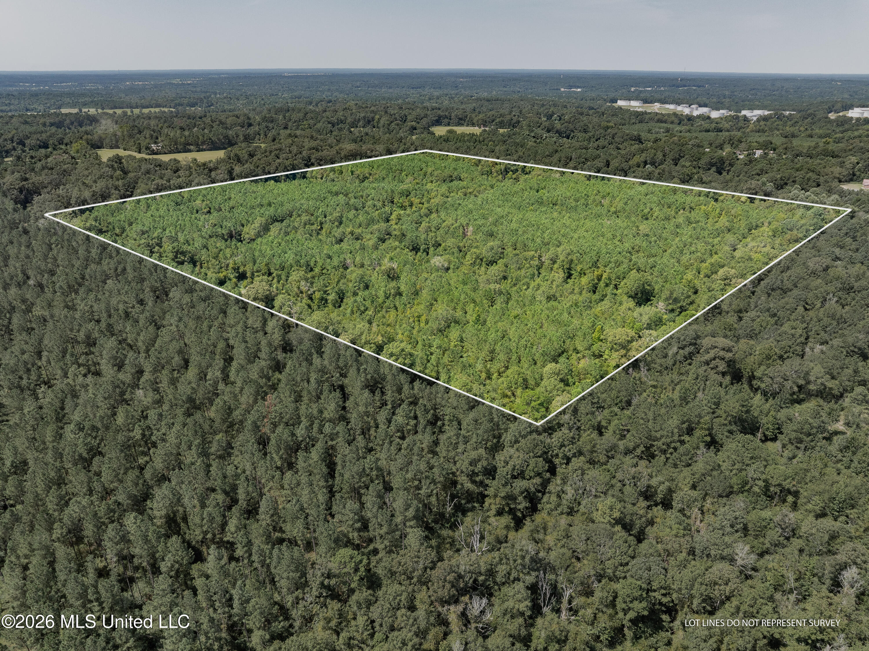 588 Collins Ms 39428 Collins, MS 39428 - Photo 1 of 18 00_MS-588-1