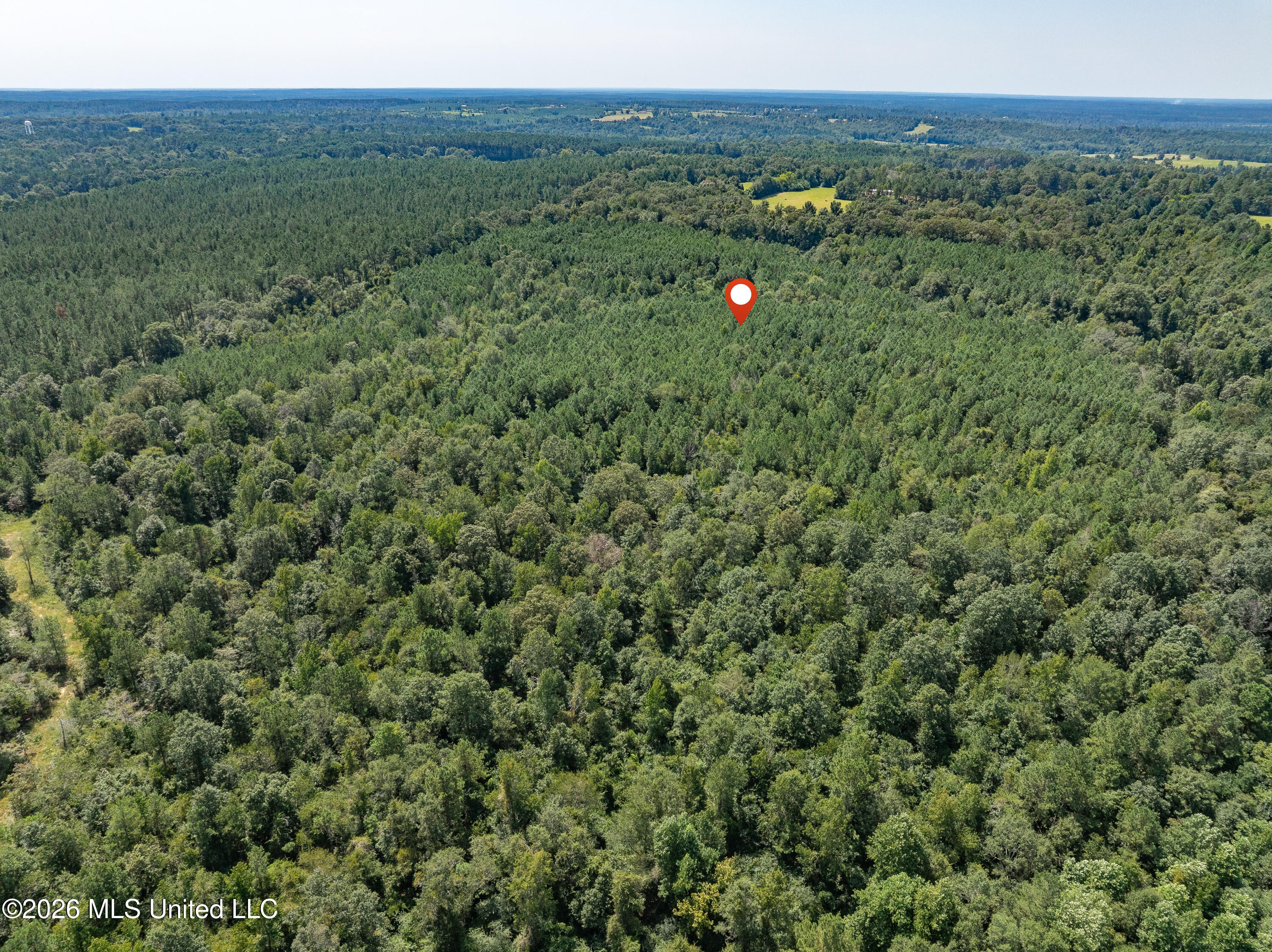 588 Collins Ms 39428 Collins, MS 39428 - Photo 11 of 18 00_MS-588-11