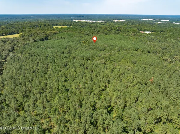 $120,000 | 588 Collins Ms 39428, Collins, MS 39428