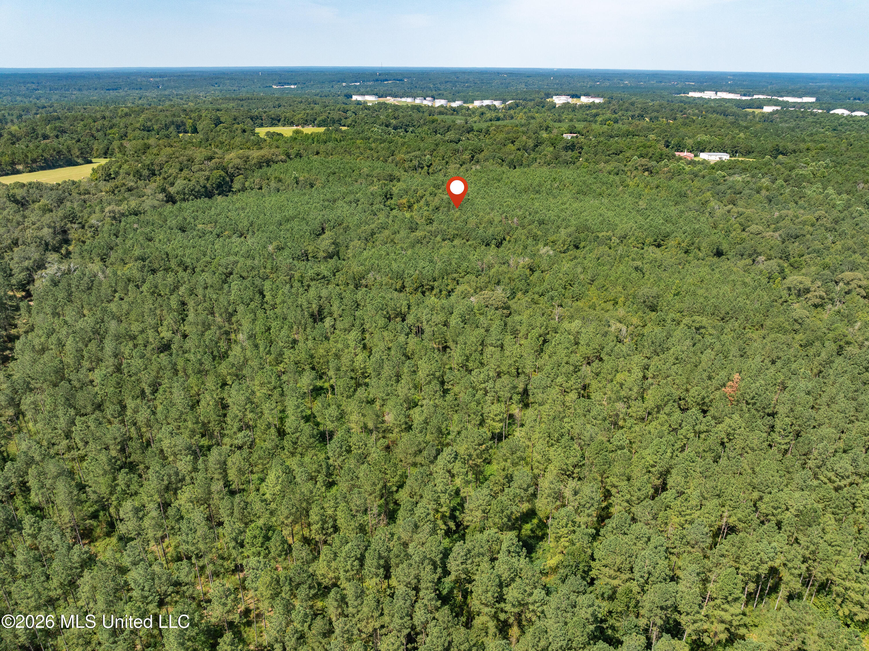 588 Collins Ms 39428 Collins, MS 39428 - Photo 12 of 18 00_MS-588-12
