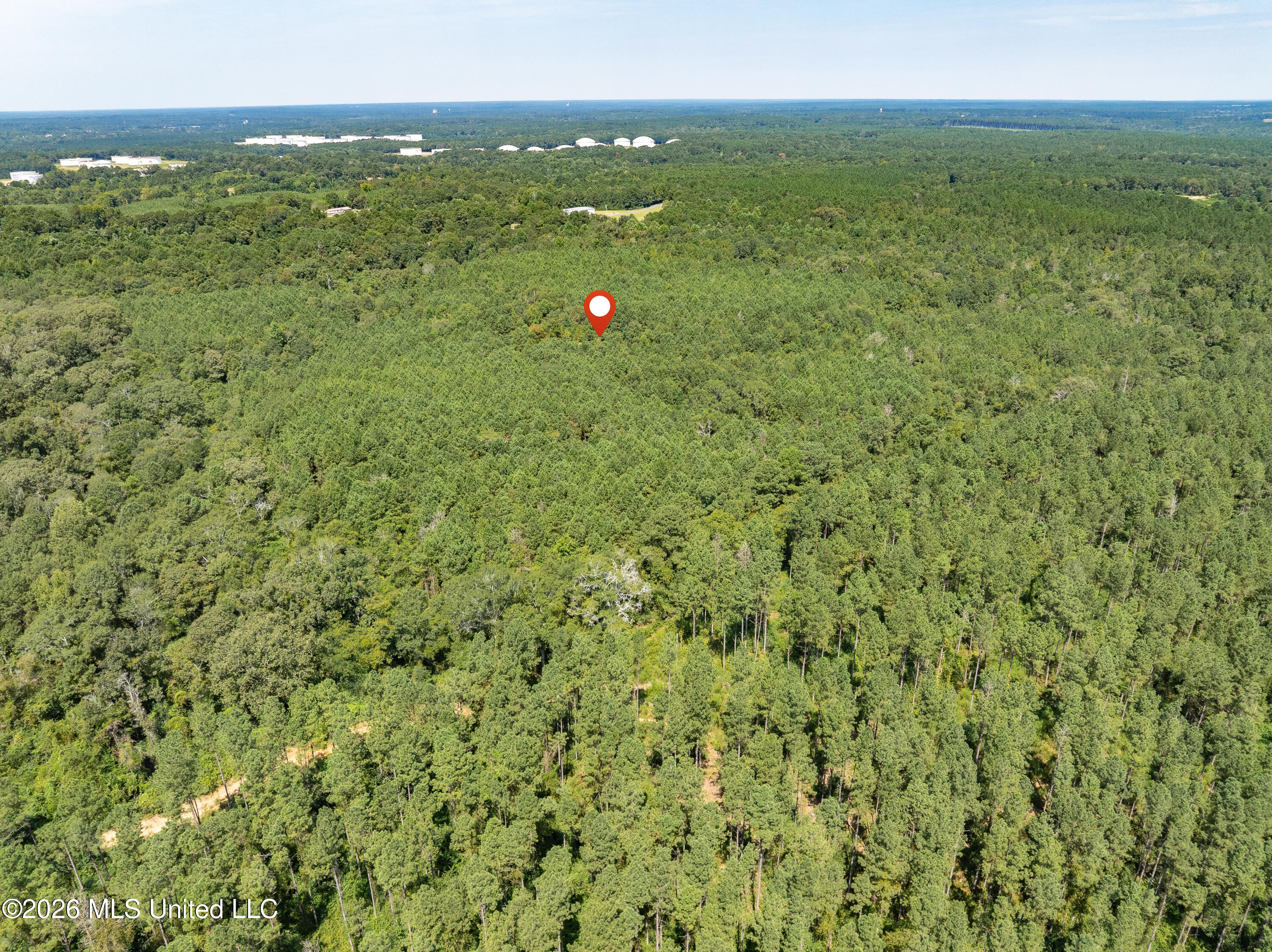 588 Collins Ms 39428 Collins, MS 39428 - Photo 13 of 18 00_MS-588-13