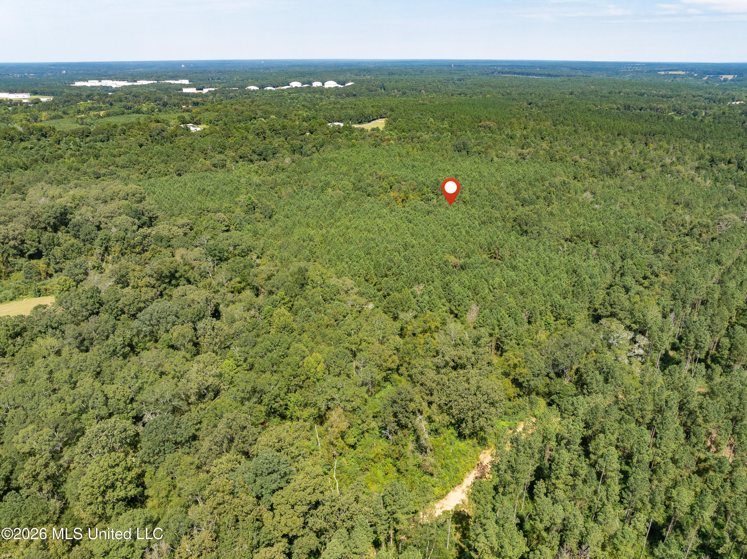 588 Collins Ms 39428 Collins, MS 39428 - Photo 14 of 18 00_MS-588-14