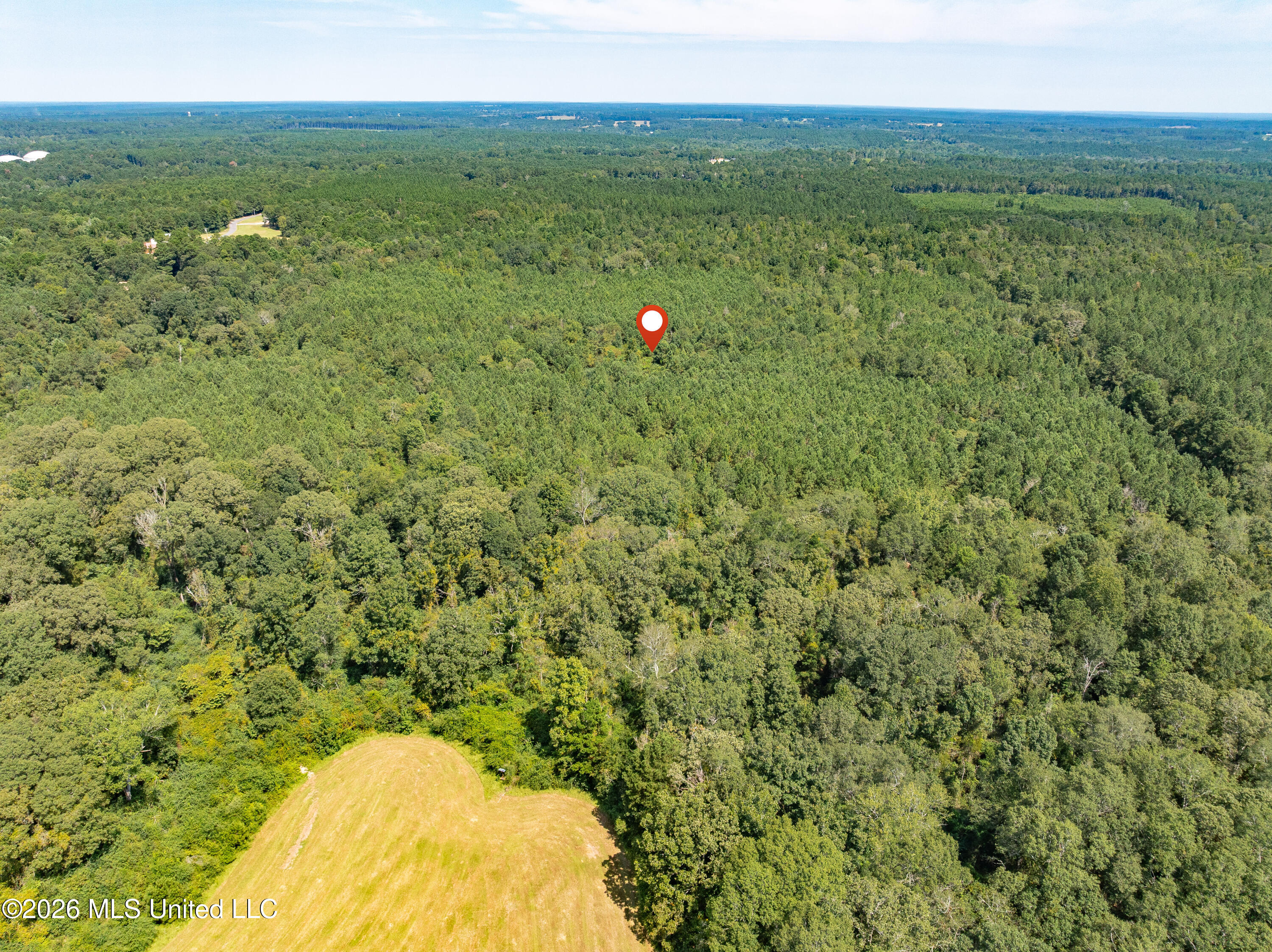 588 Collins Ms 39428 Collins, MS 39428 - Photo 15 of 18 00_MS-588-15