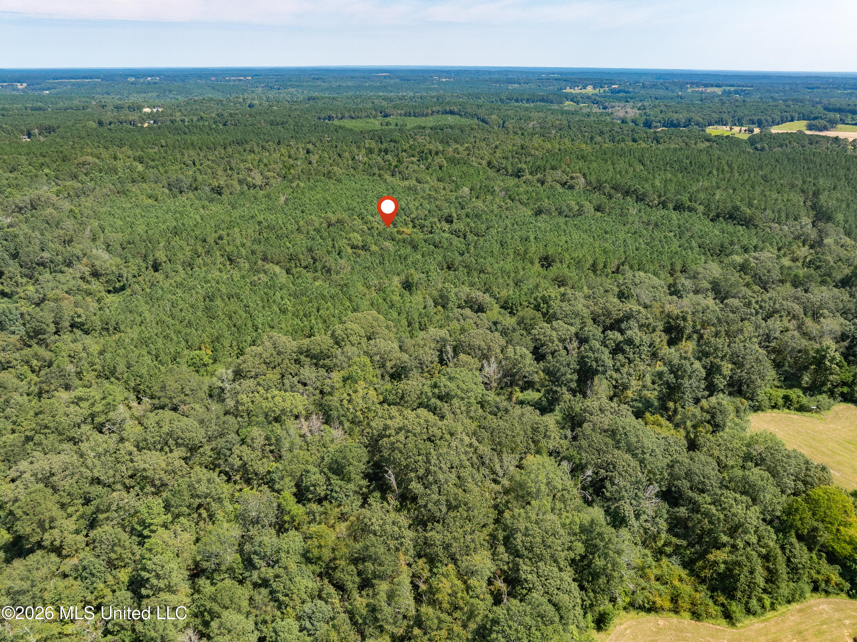 588 Collins Ms 39428 Collins, MS 39428 - Photo 16 of 18 00_MS-588-16