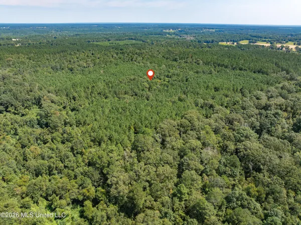 $120,000 | 588 Collins Ms 39428, Collins, MS 39428