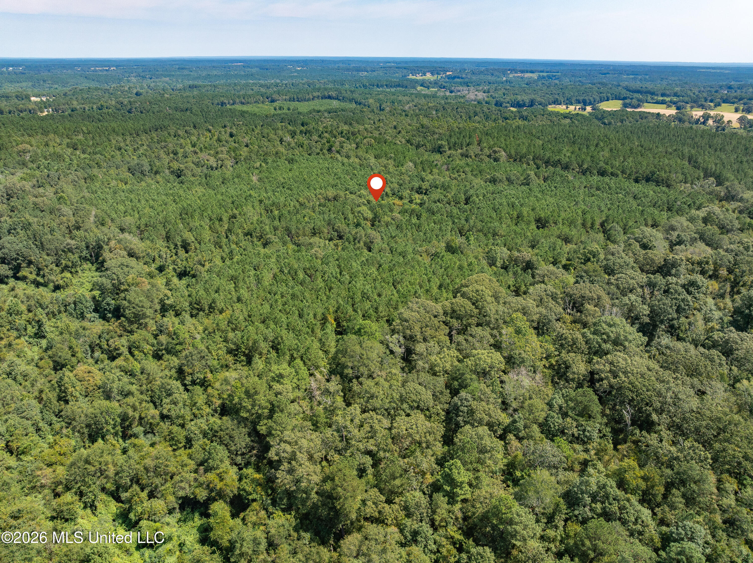 588 Collins Ms 39428 Collins, MS 39428 - Photo 17 of 18 00_MS-588-17