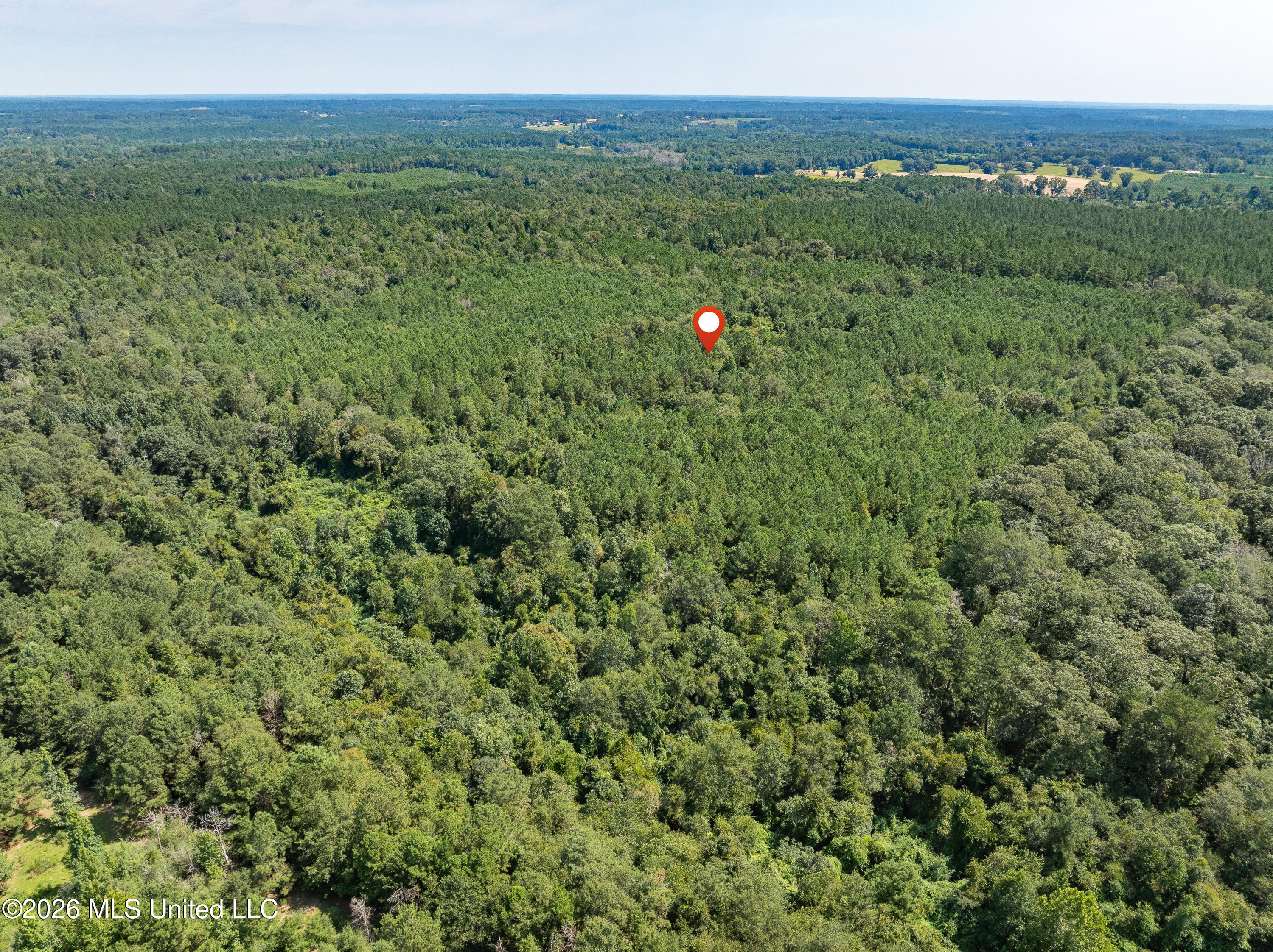 588 Collins Ms 39428 Collins, MS 39428 - Photo 18 of 18 00_MS-588-18