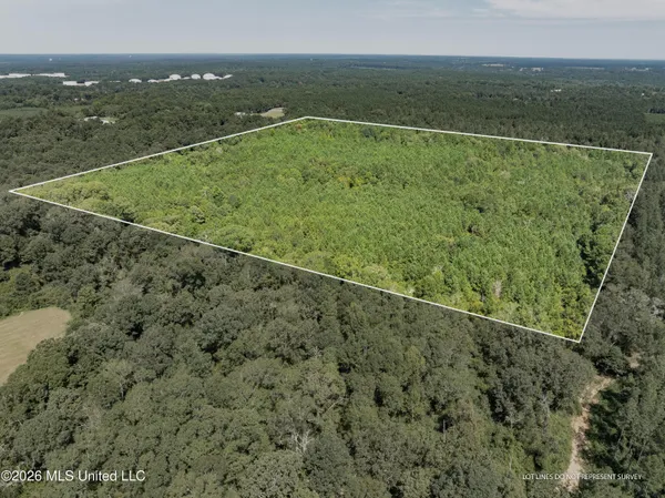 $120,000 | 588 Collins Ms 39428, Collins, MS 39428