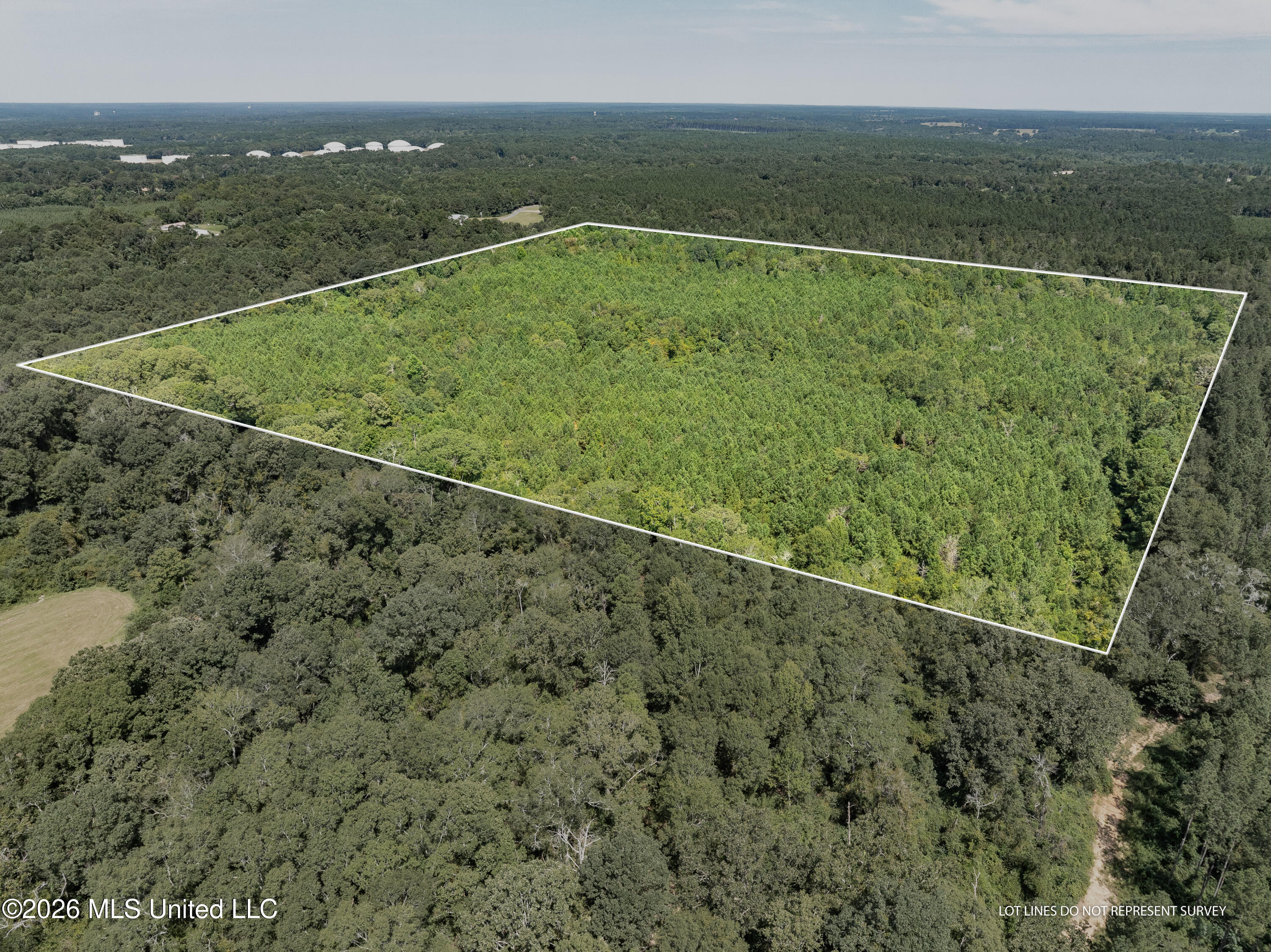588 Collins Ms 39428 Collins, MS 39428 - Photo 2 of 18 00_MS-588-2