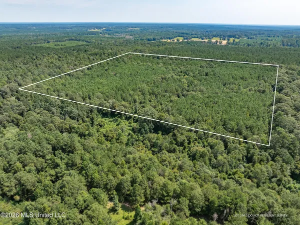 $120,000 | 588 Collins Ms 39428, Collins, MS 39428