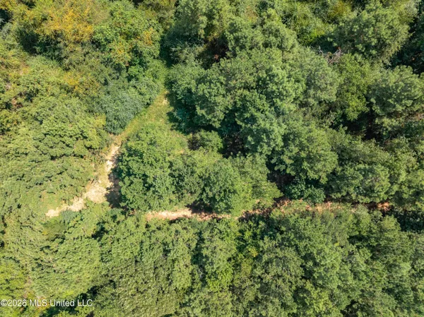 $120,000 | 588 Collins Ms 39428, Collins, MS 39428