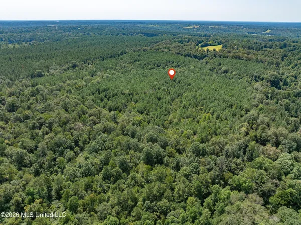 $120,000 | 588 Collins Ms 39428, Collins, MS 39428