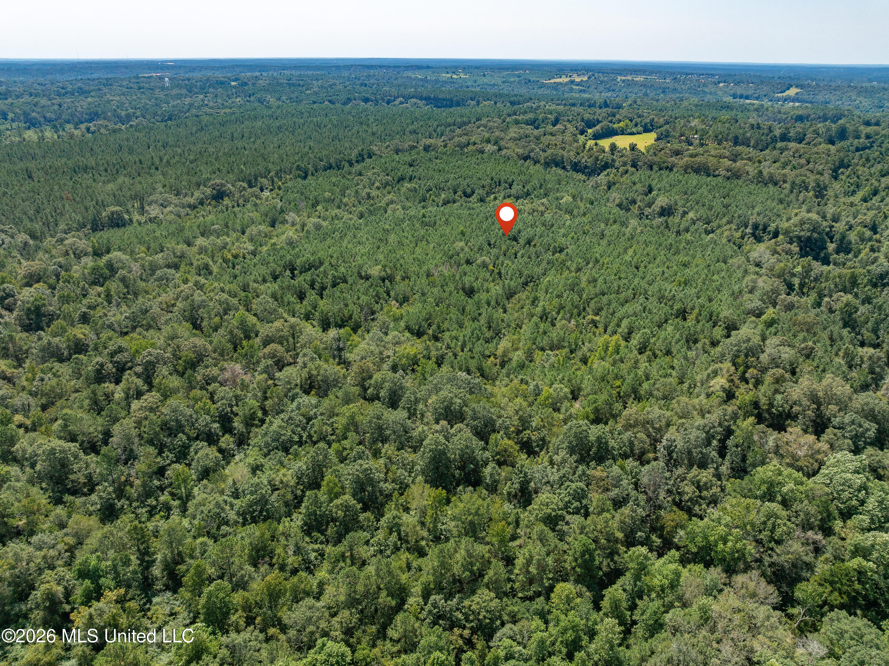 588 Collins Ms 39428 Collins, MS 39428 - Photo 10 of 18 00_MS-588-10