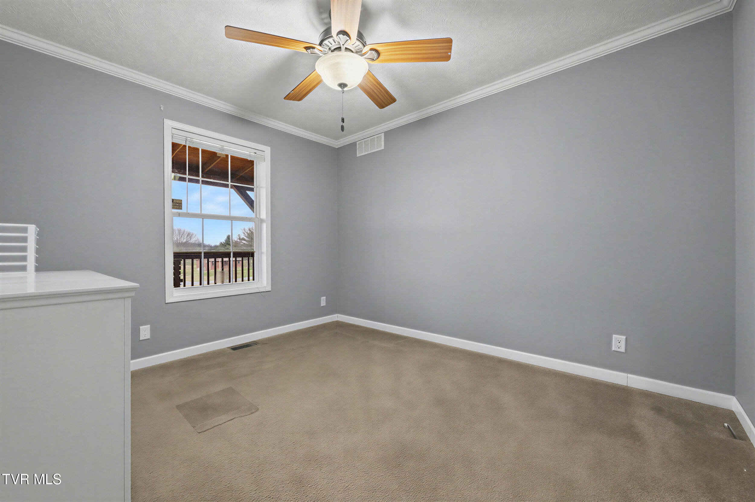 268 Washington College Station Road Limestone, TN 37681 - Photo 24 of 55 26_25