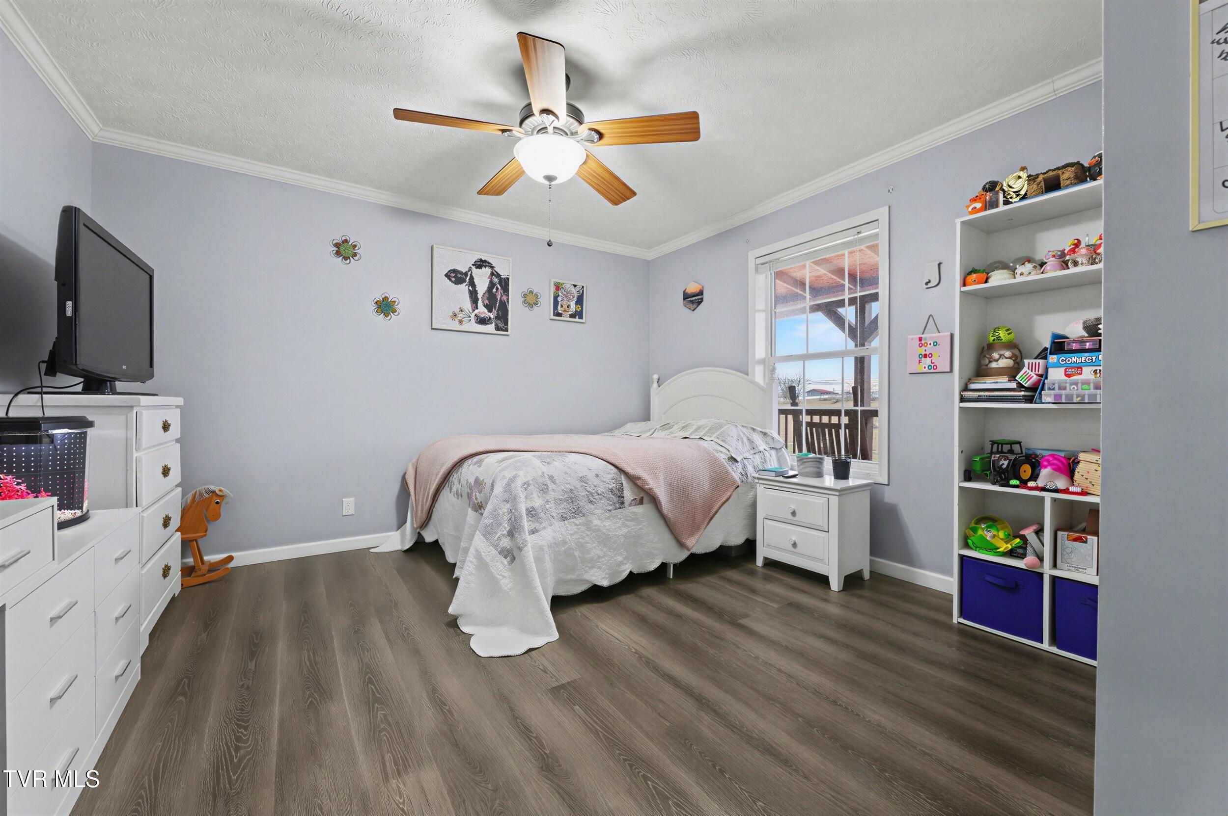 268 Washington College Station Road Limestone, TN 37681 - Photo 27 of 55 29_28