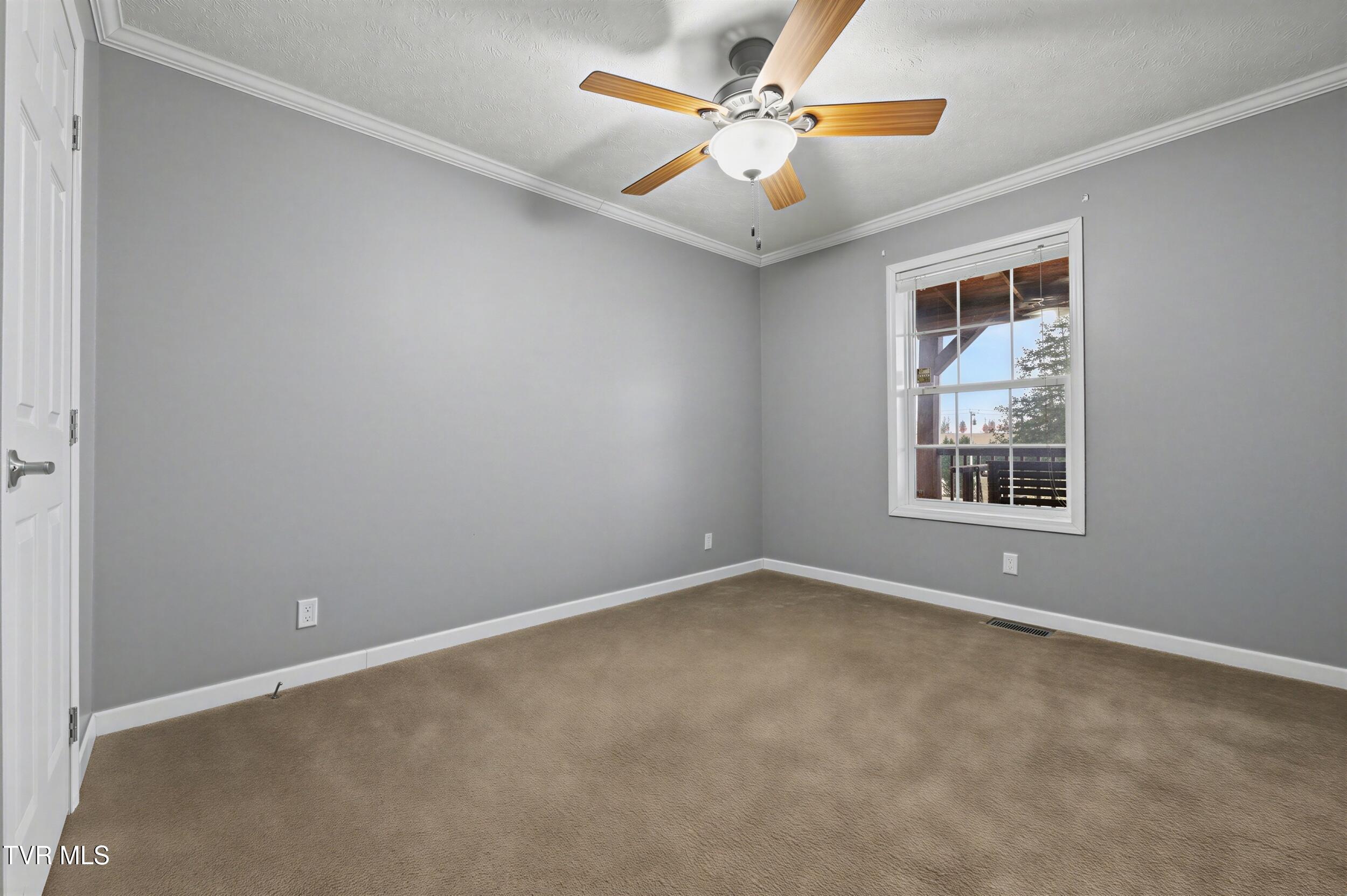 268 Washington College Station Road Limestone, TN 37681 - Photo 29 of 55 31_30