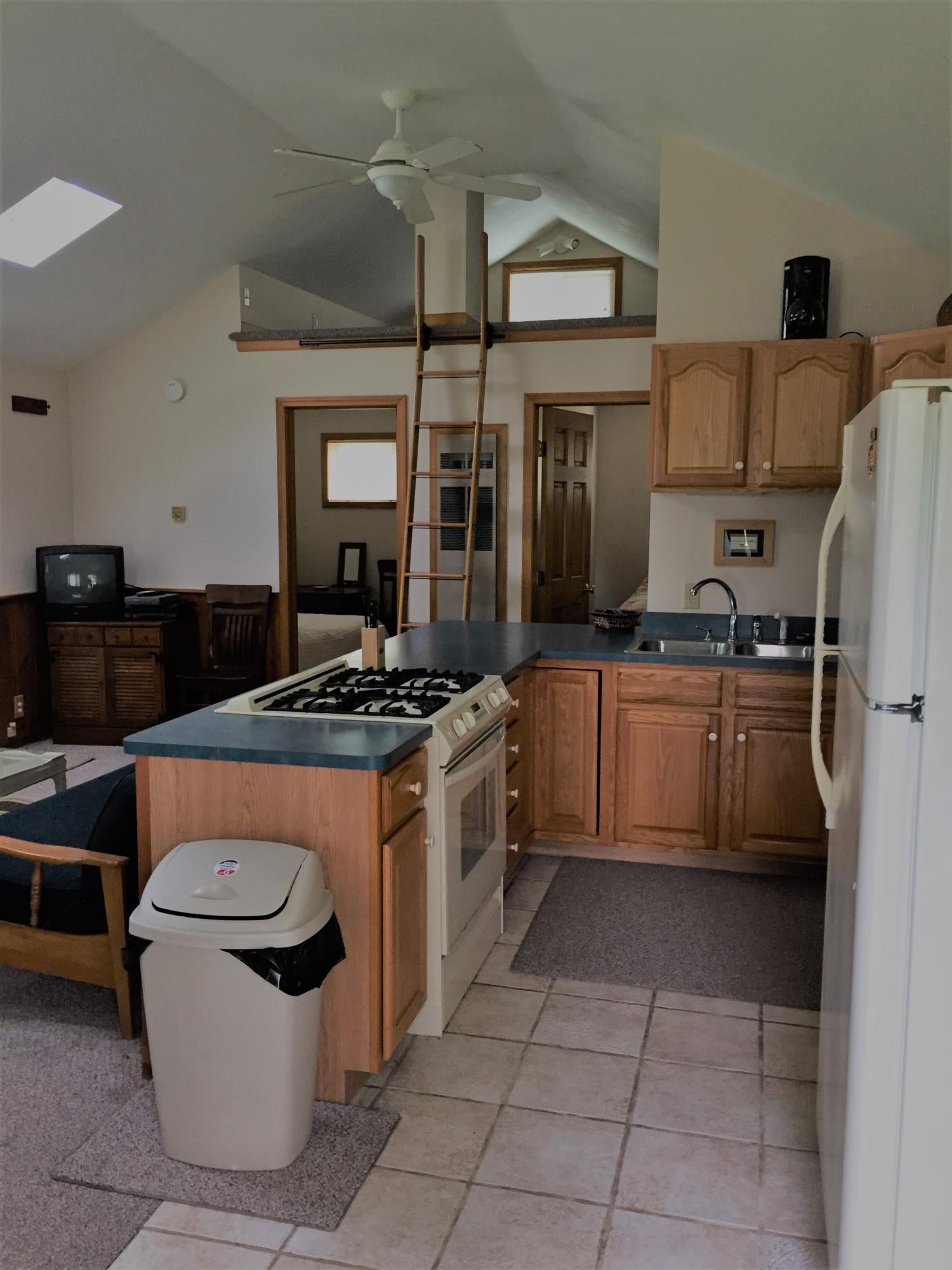 6958 Needles Road Indian River, MI 49749 - Photo 6 of 32 Gallery Image 6