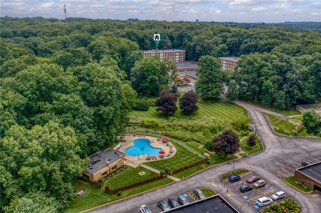 3070 Kent Road, Unit 312D Stow, OH 44224 - Photo 42 of 49 Outdoor swimming pool with surrounding patio, lush green lawns, mature trees, and paved parking areas