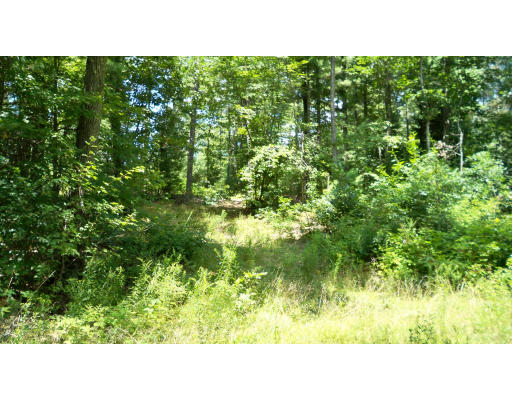 Lot 1 Turner Road Charlton, MA 01507 - Photo 8 of 9 Gallery Image 8