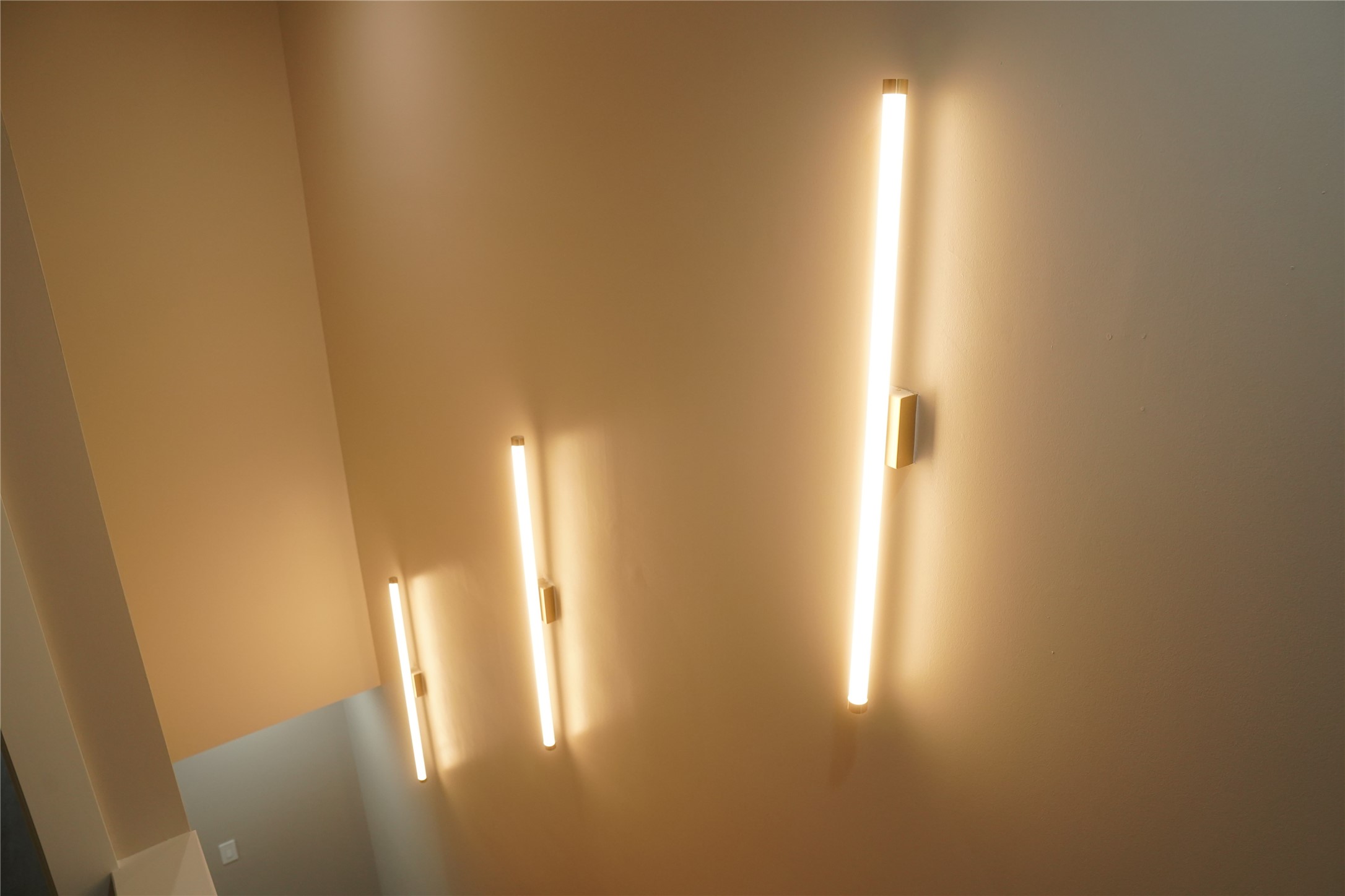 5947 Collingsworth Street Houston, TX 77026 - Photo 21 of 39 Barn style door.