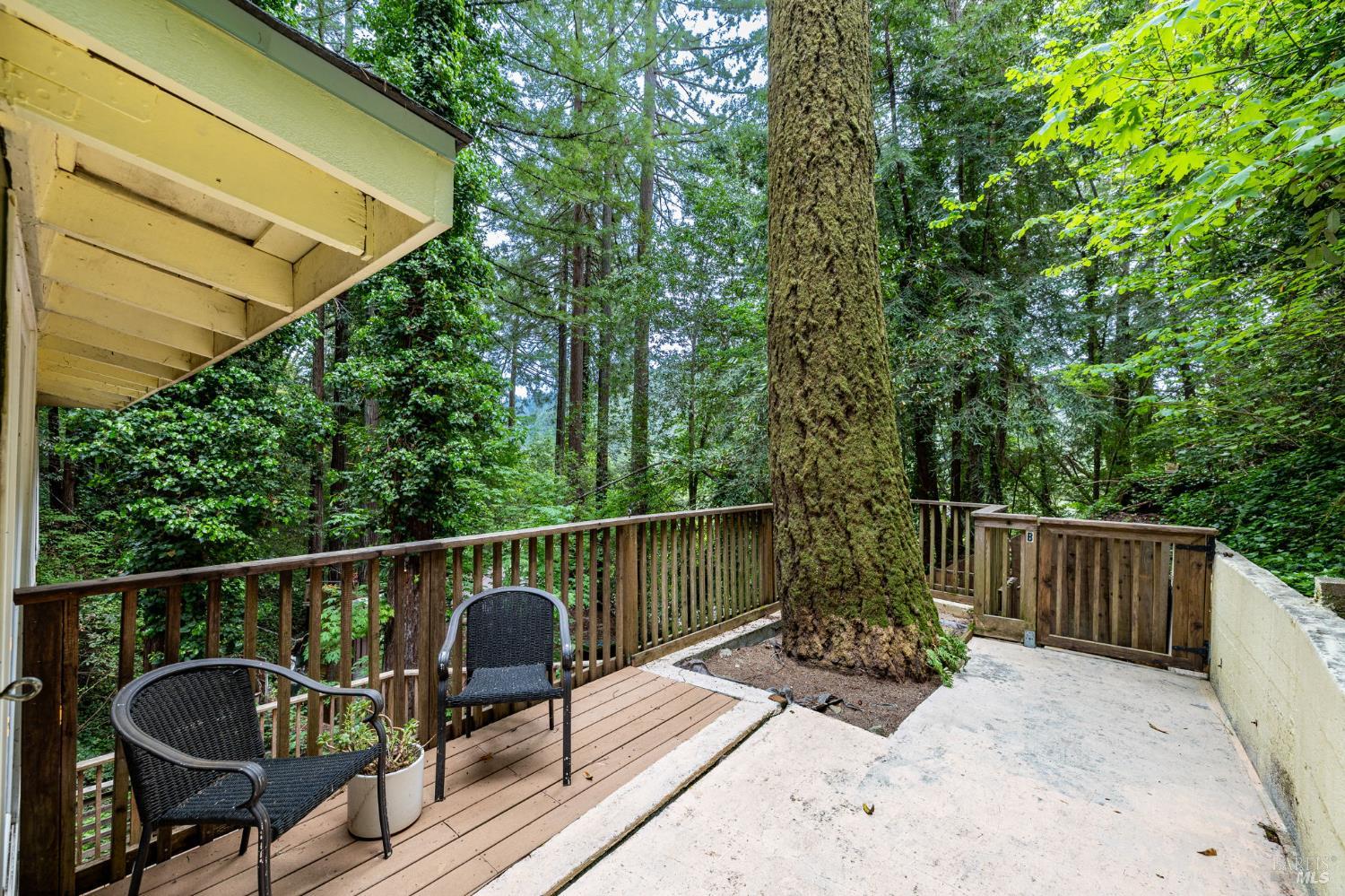17731 Old Monte Rio Road Guerneville, CA 95446 - Photo 5 of 57 a view of a chair and tables on the wooden floor