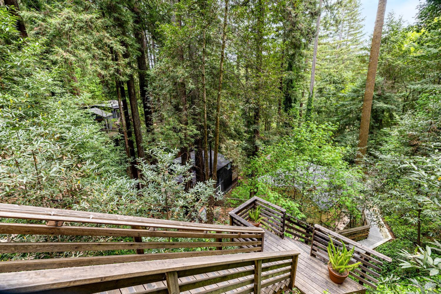 17731 Old Monte Rio Road Guerneville, CA 95446 - Photo 52 of 57