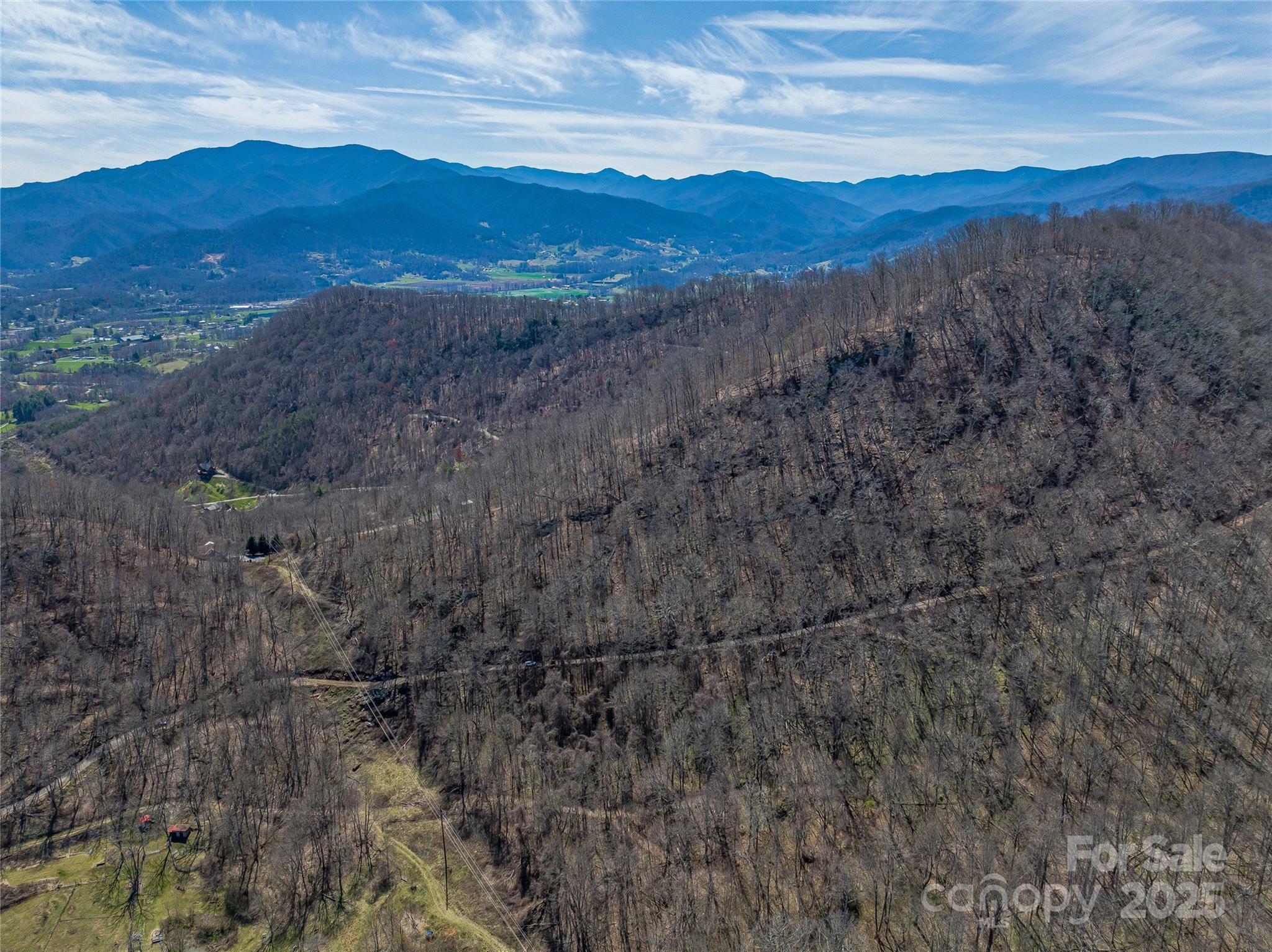 999 Cracker Trail Clyde, NC 28721 - Photo 12 of 23 a view of mountain and a forest