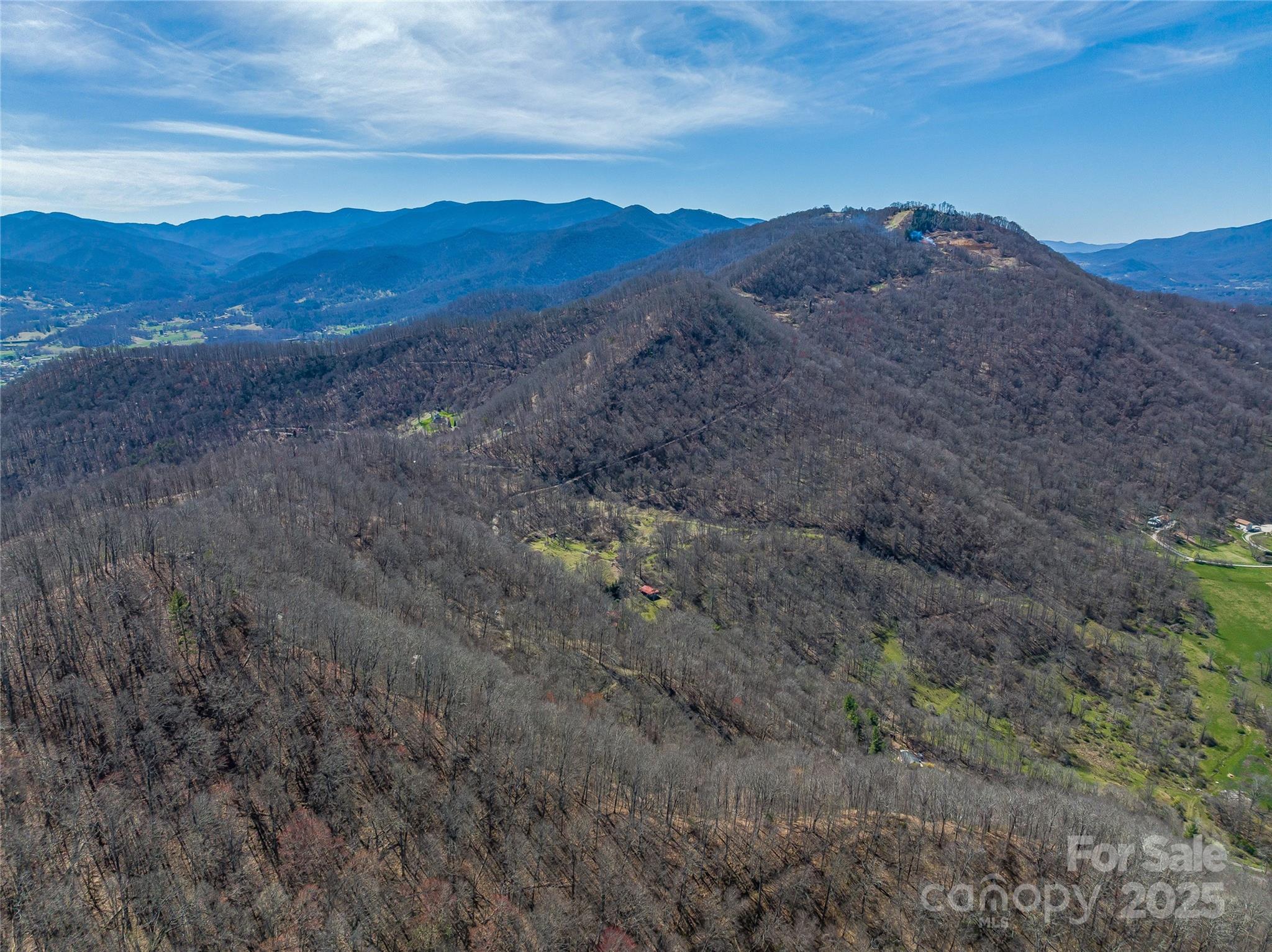 999 Cracker Trail Clyde, NC 28721 - Photo 14 of 23 a view of a dry yard with mountains in the background