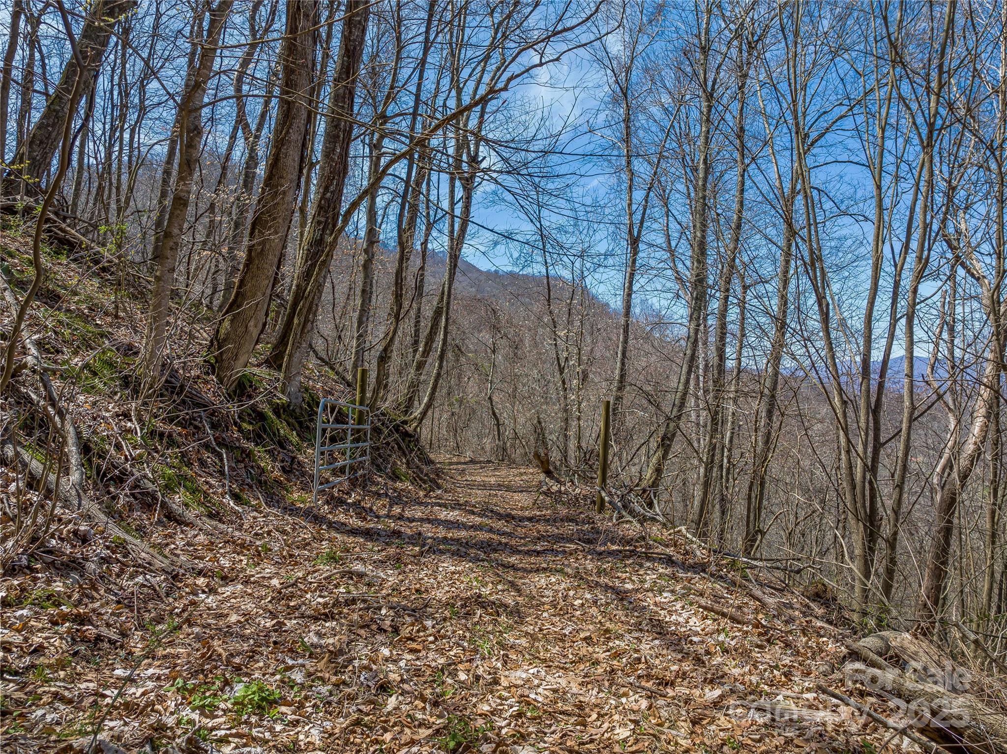 999 Cracker Trail Clyde, NC 28721 - Photo 17 of 23 a backyard of a house with lots of green space