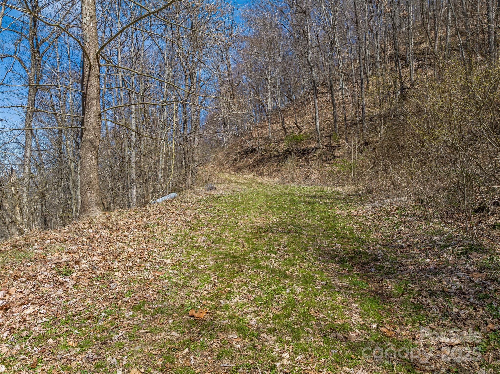 999 Cracker Trail Clyde, NC 28721 - Photo 18 of 23 a view of small yard